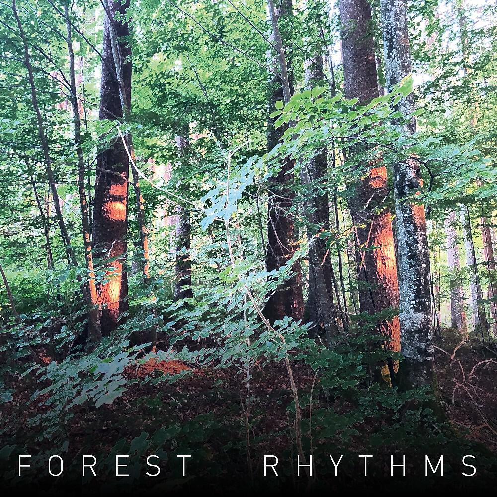 Релиз Forest Rhythms