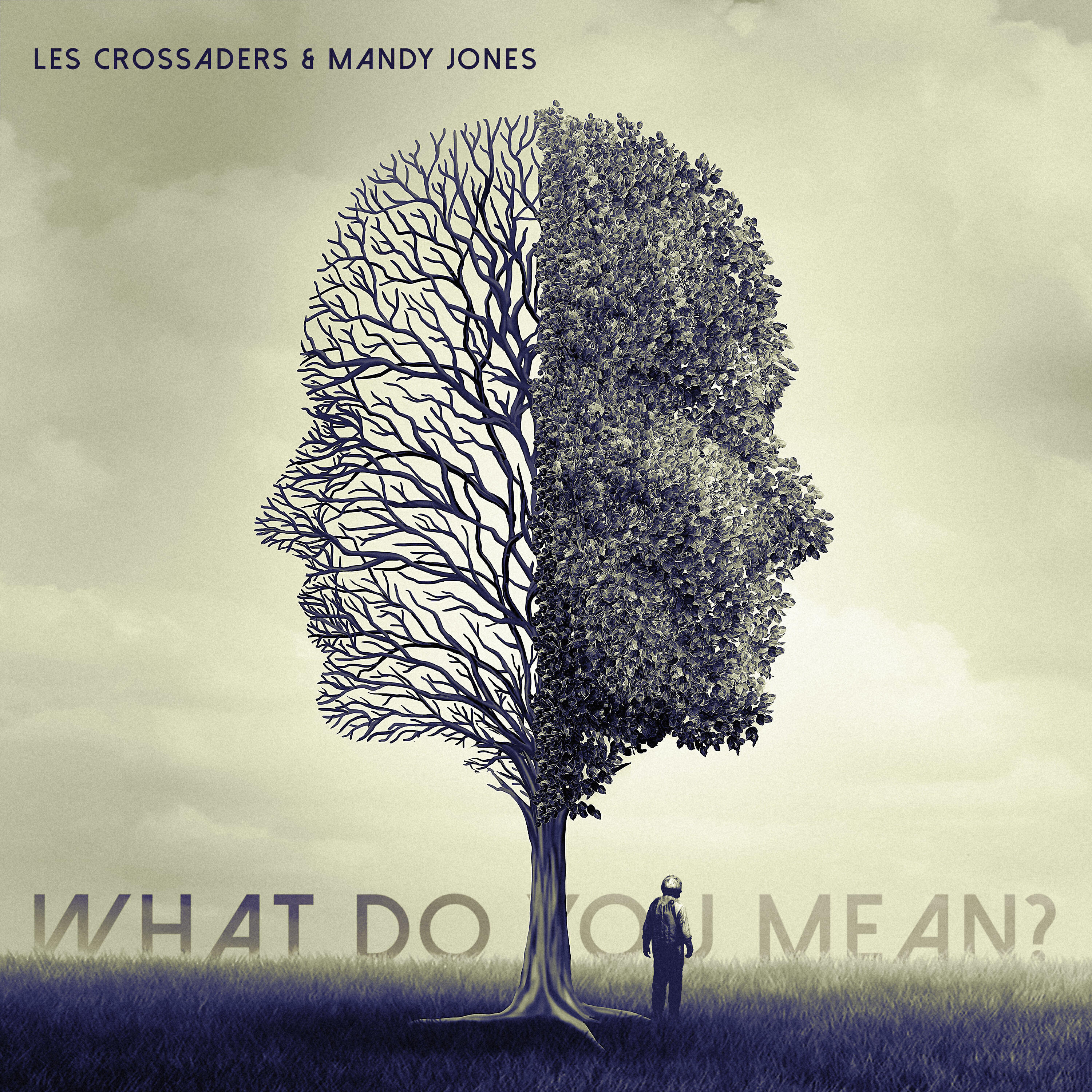 Скачать песню Les Crossaders, Mandy Jones - What Do You Mean? бесплатно в MP3 для Android и iOS