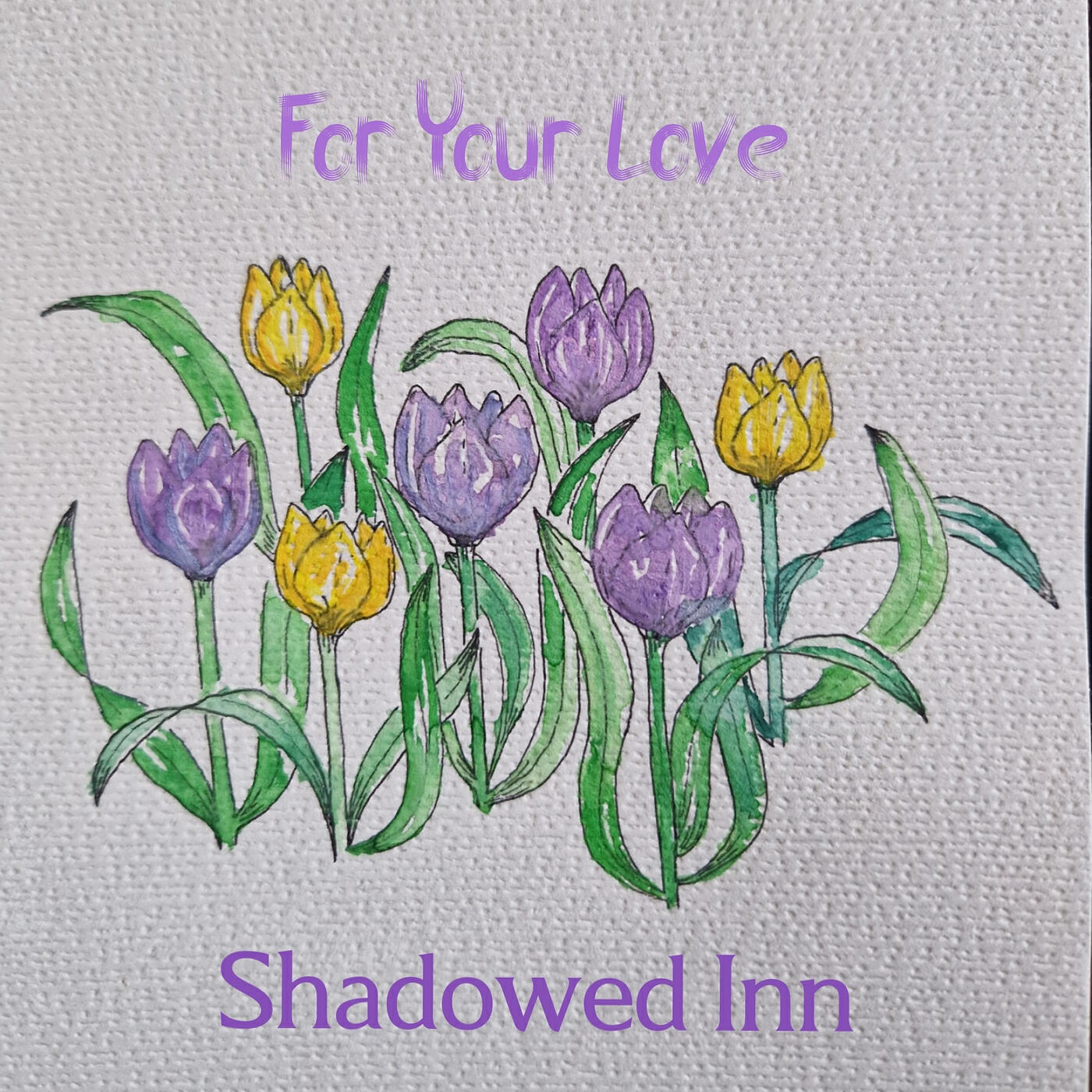 Shadowed Inn