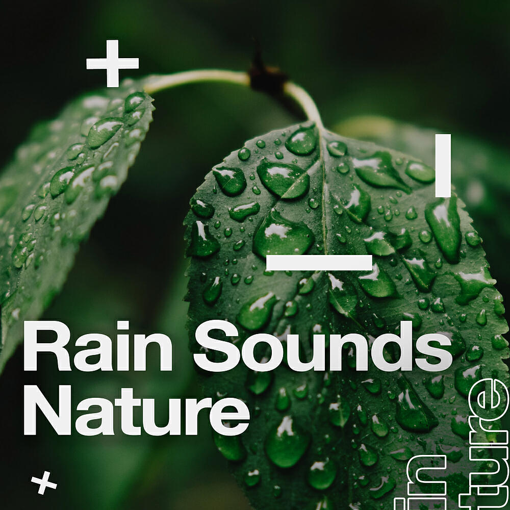 Релиз Rain Sounds Nature