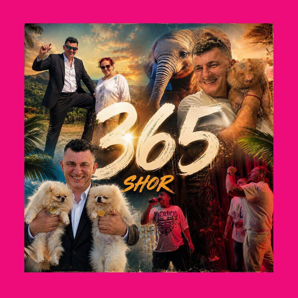 Релиз 365