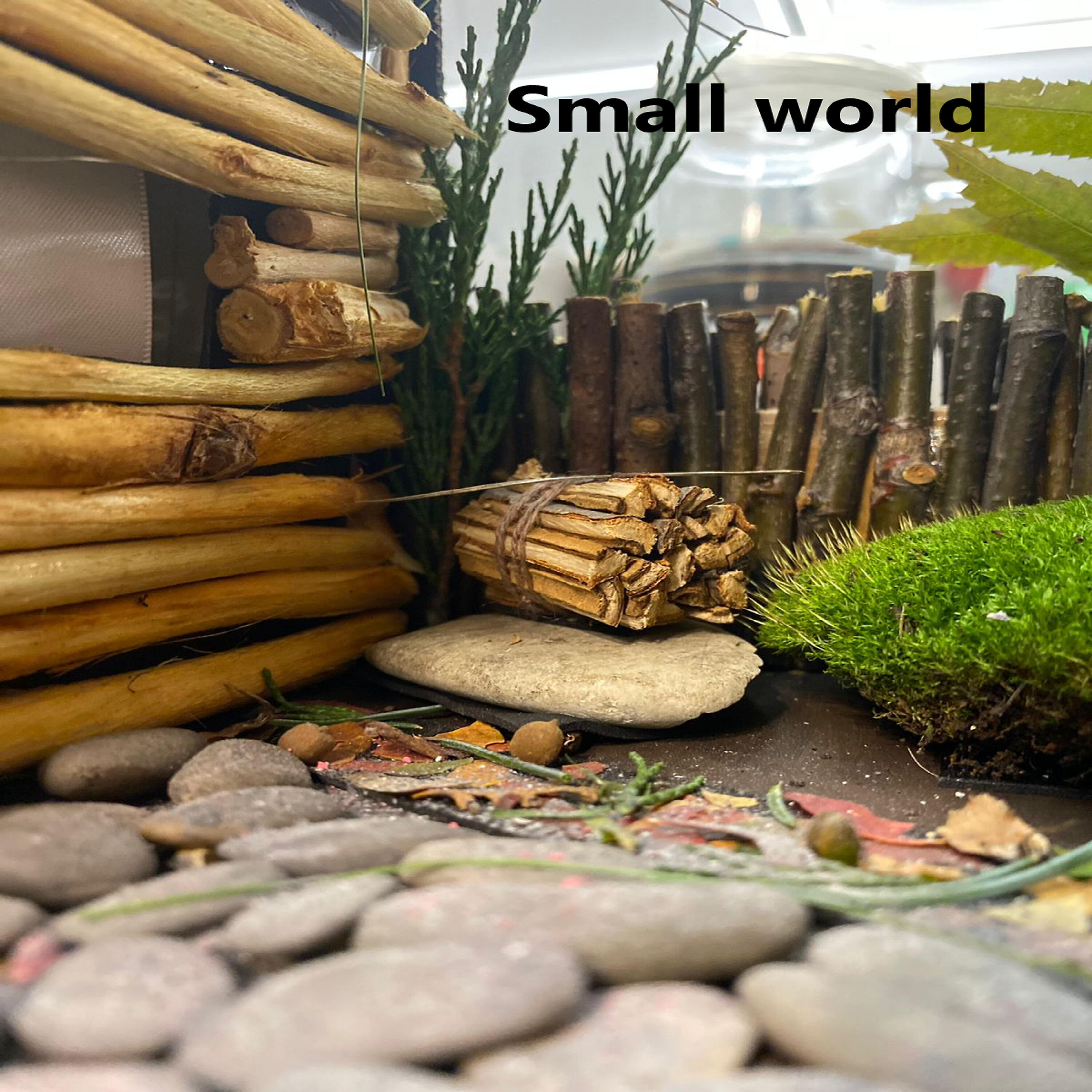 Релиз Small World
