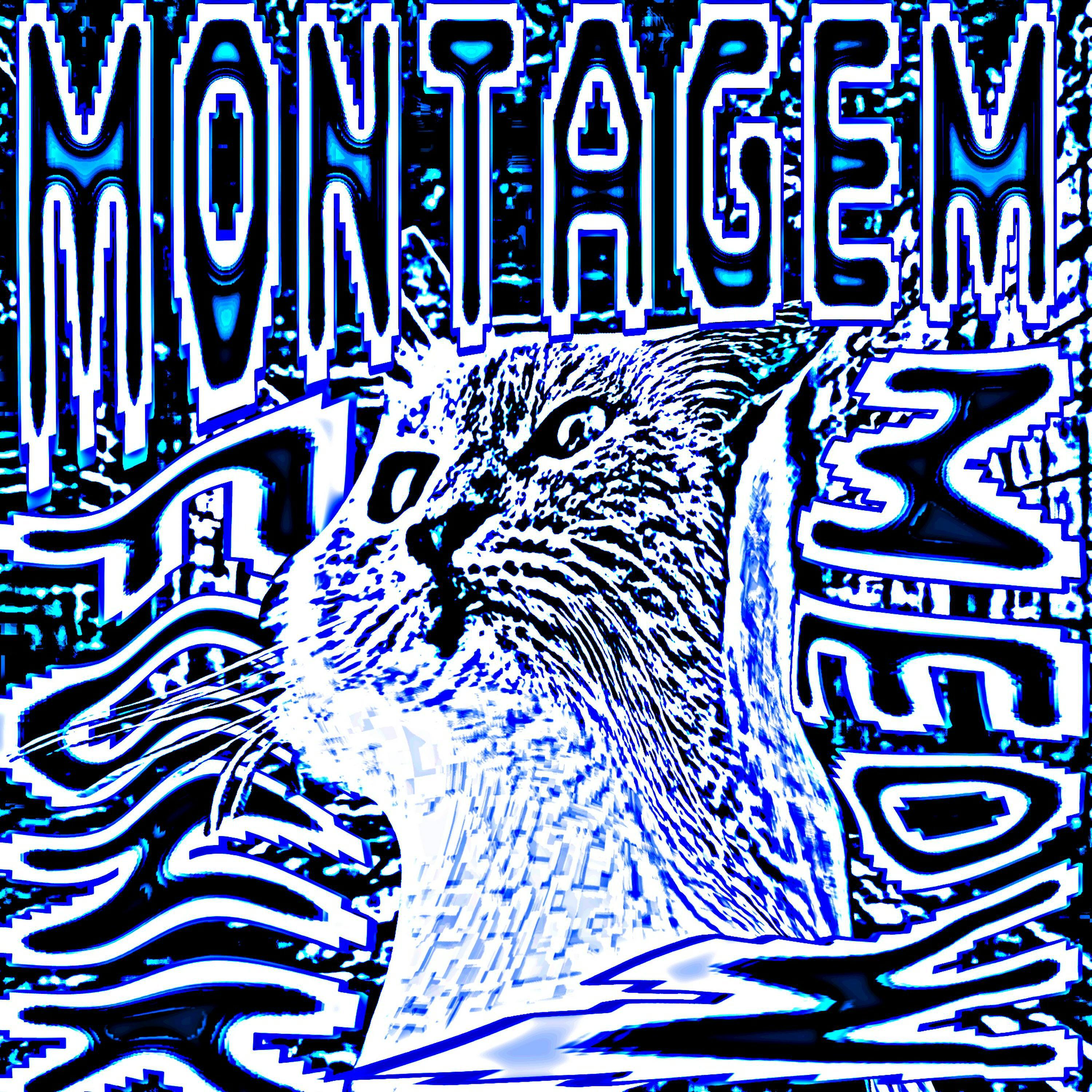 Релиз MONTAGEM MEOW FUNK