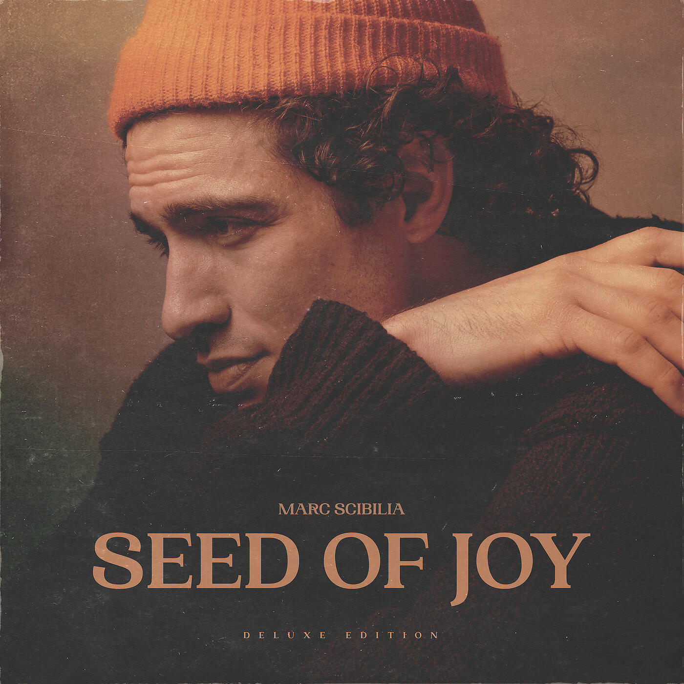 Релиз Seed of Joy (Deluxe Edition)