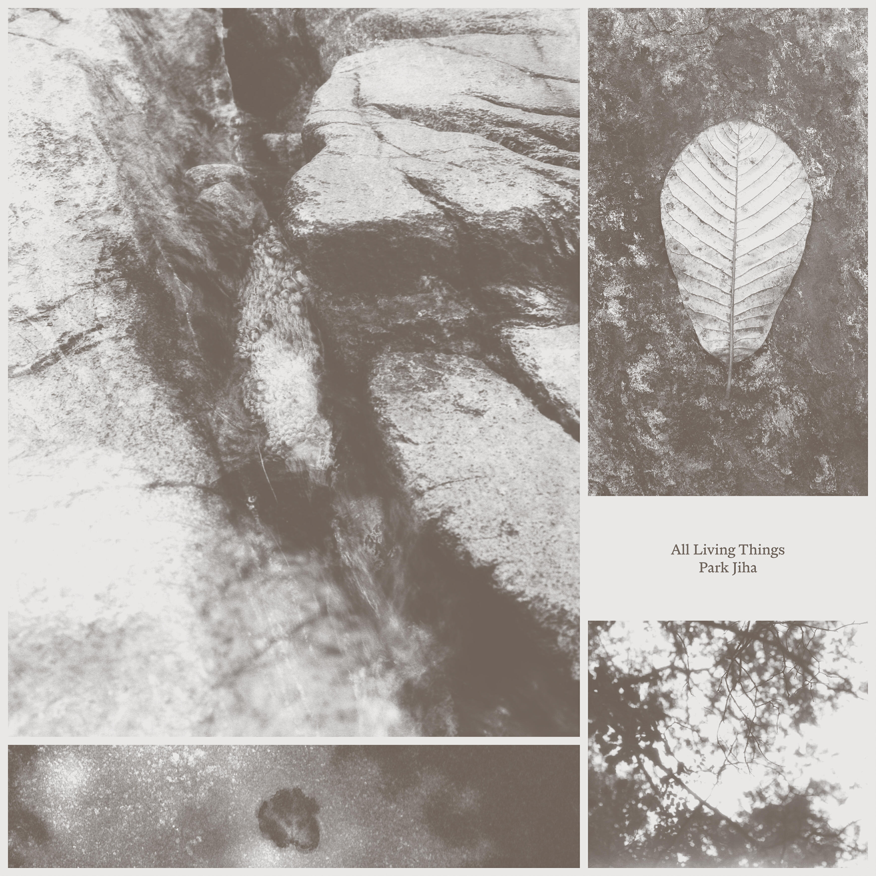 Релиз All Living Things