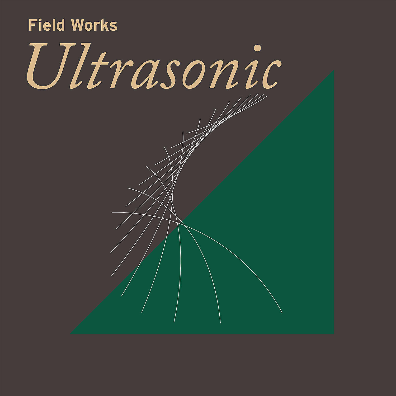 Релиз Field Works: Ultrasonic