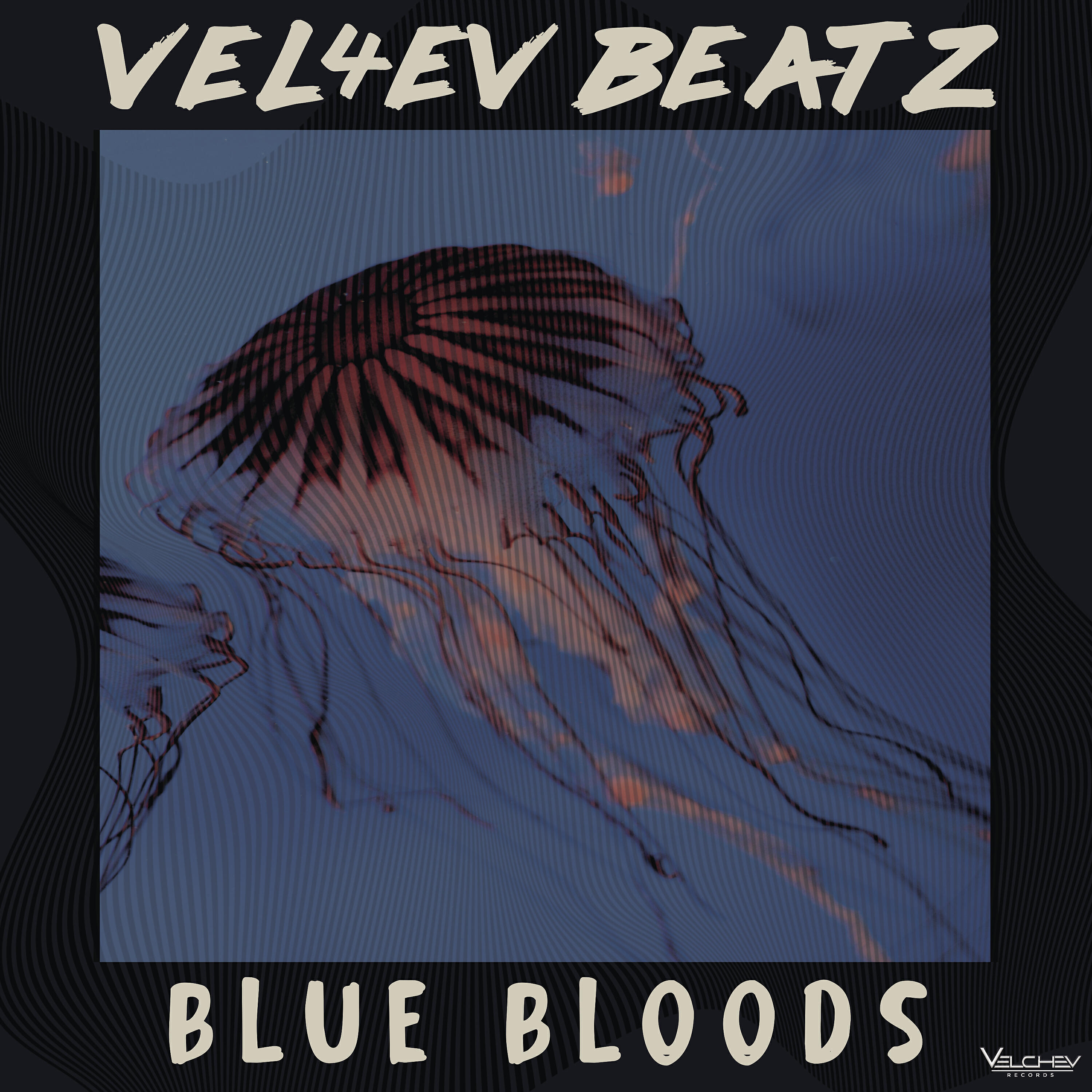 Релиз Blue Bloods