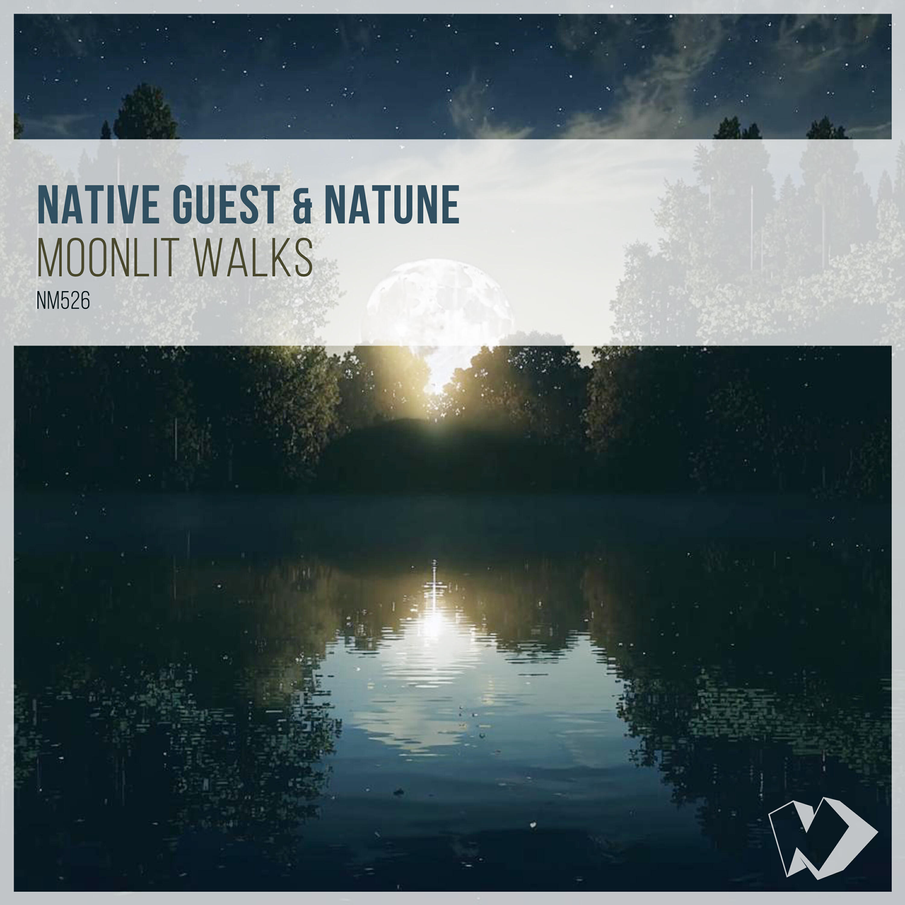 Релиз Moonlit Walks