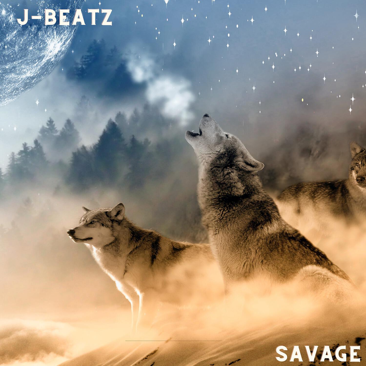 Релиз Savage
