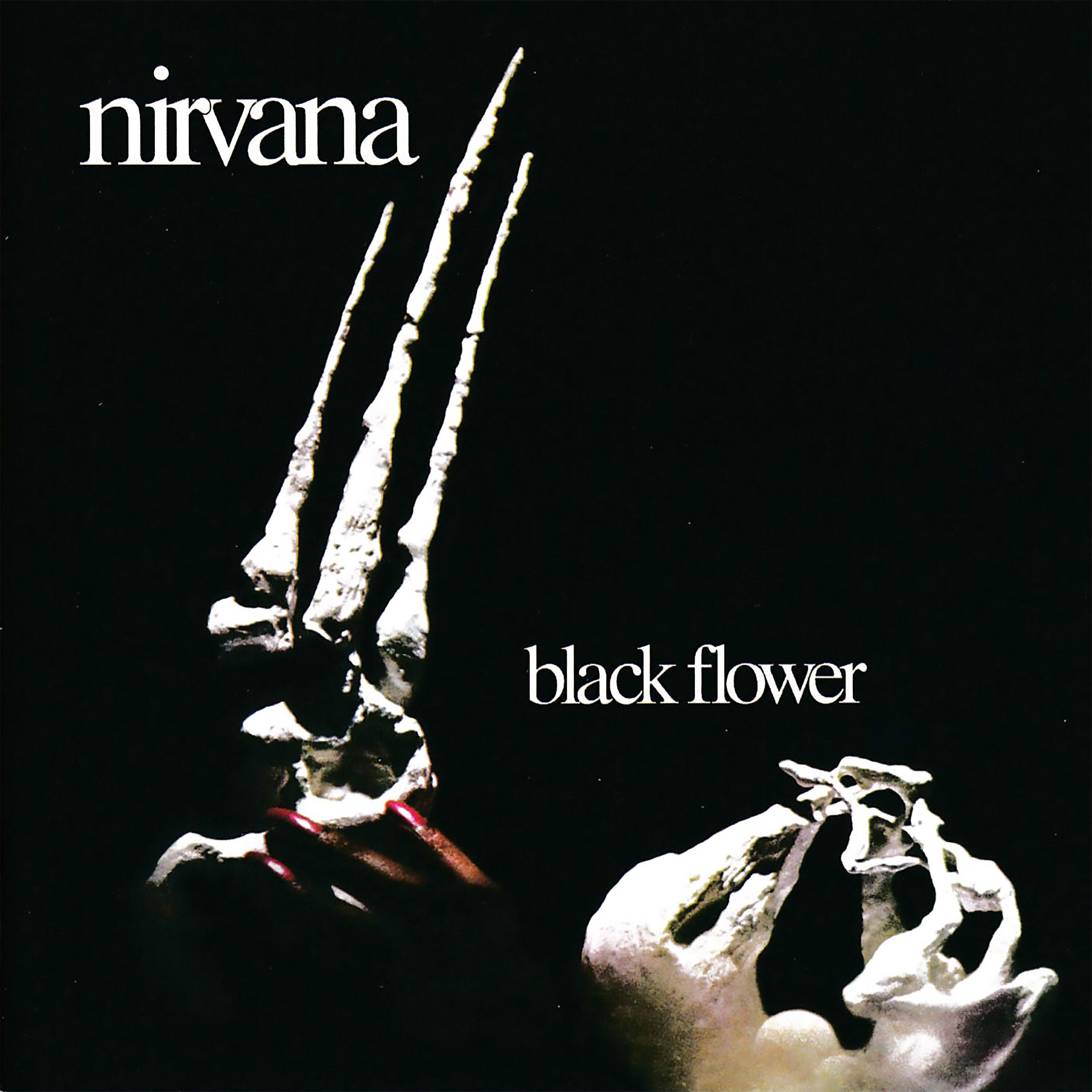 Постер альбома Black Flower