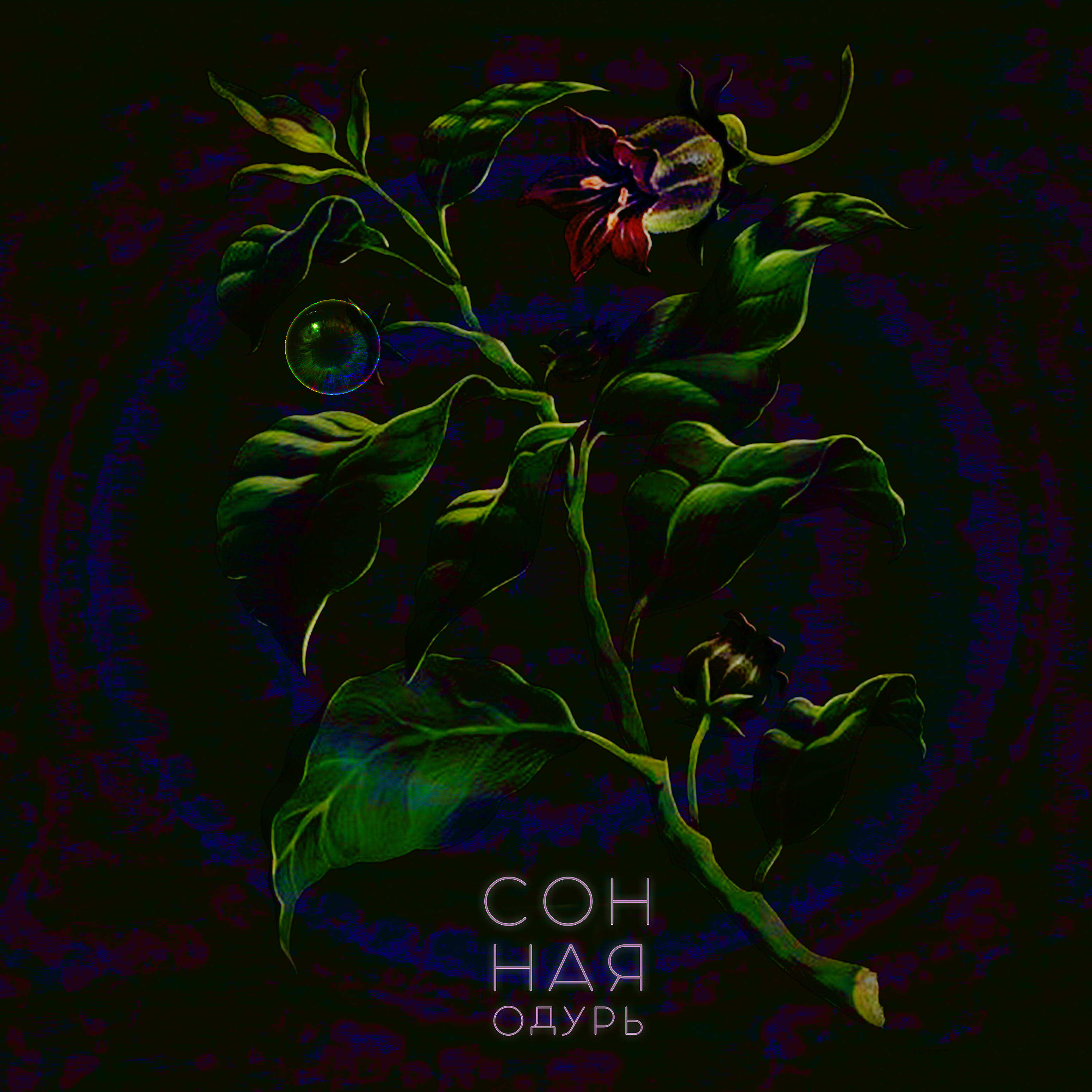 Релиз Сонная Одурь