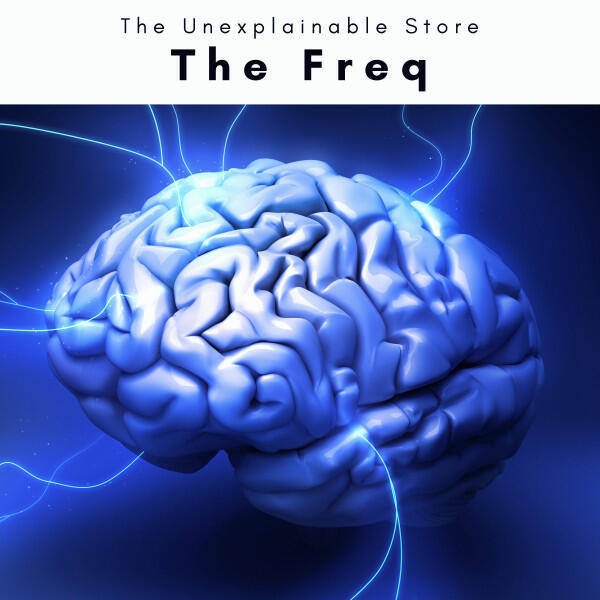 Релиз 2022 The Freq