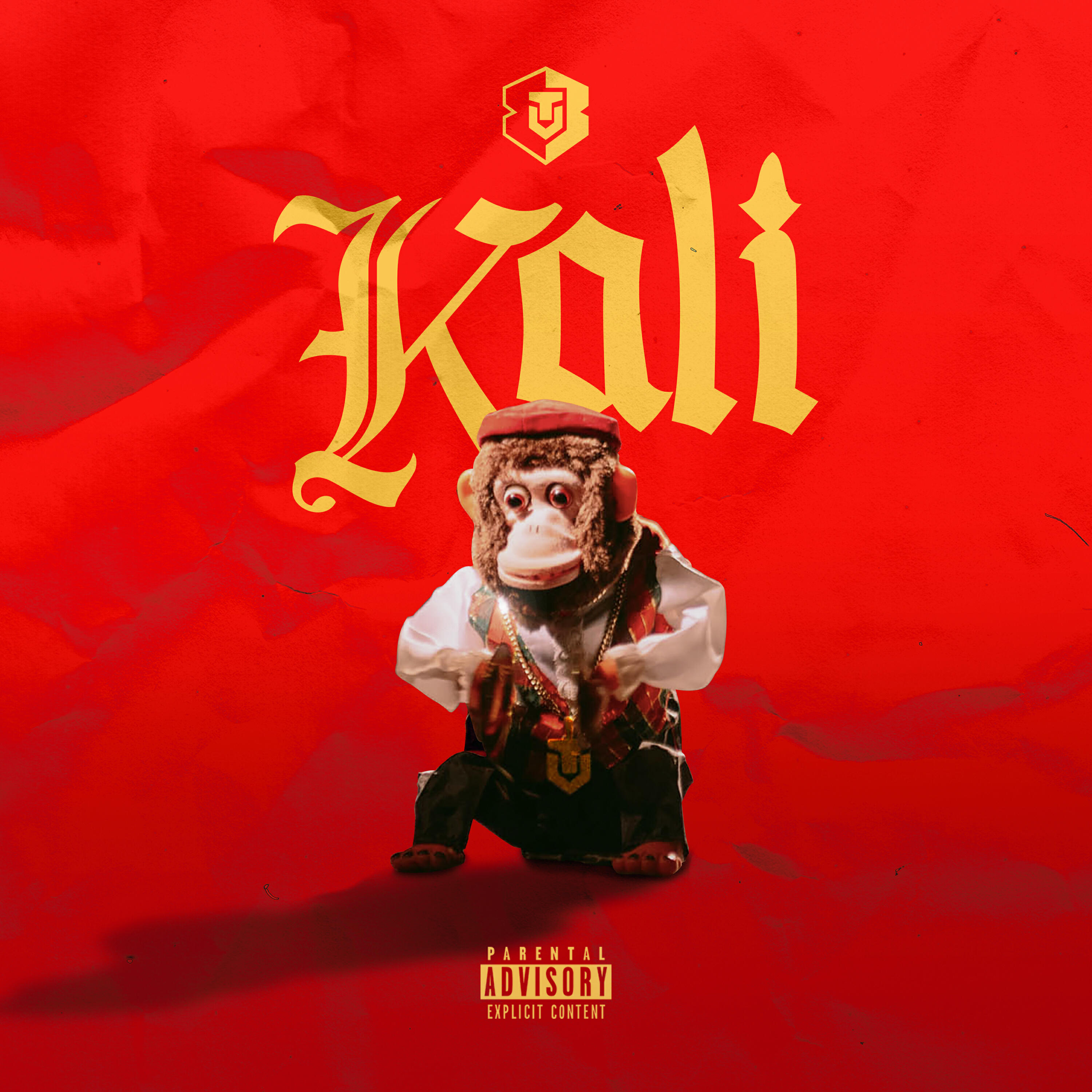 Постер альбома Kali