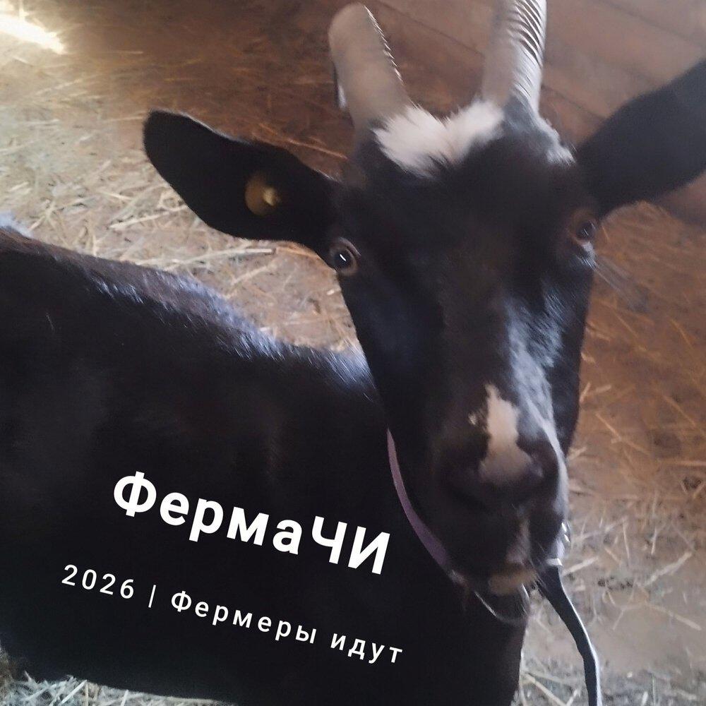 Релиз Фермеры идут