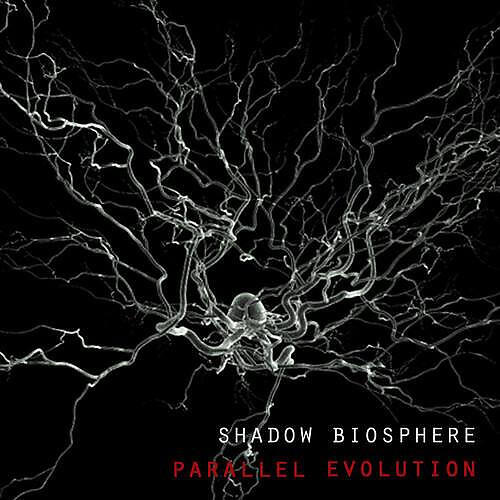Shadow Biosphere