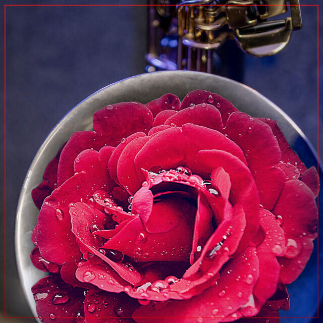 Релиз Sax Covers (Vol. 7)