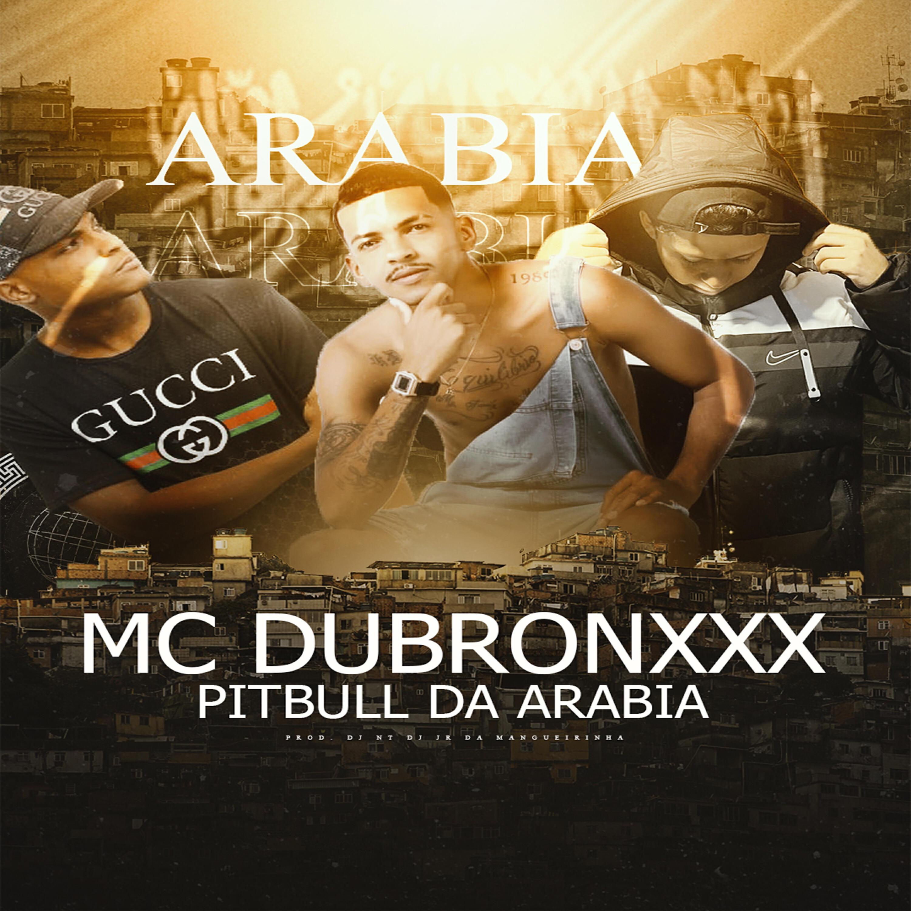 Dj JR da Mangueirinha все песни в mp3