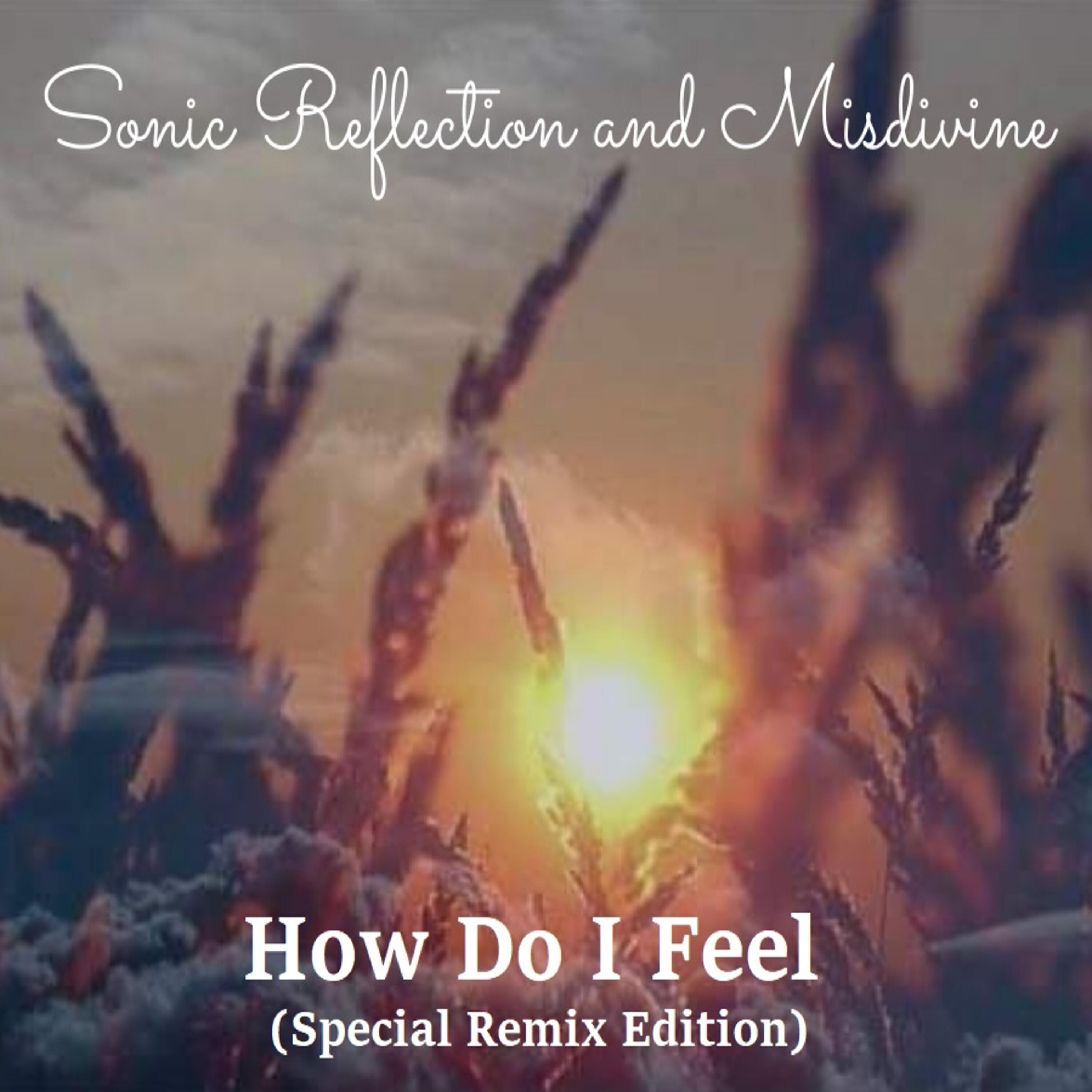 Релиз How Do I Feel (Special Remix Edition)