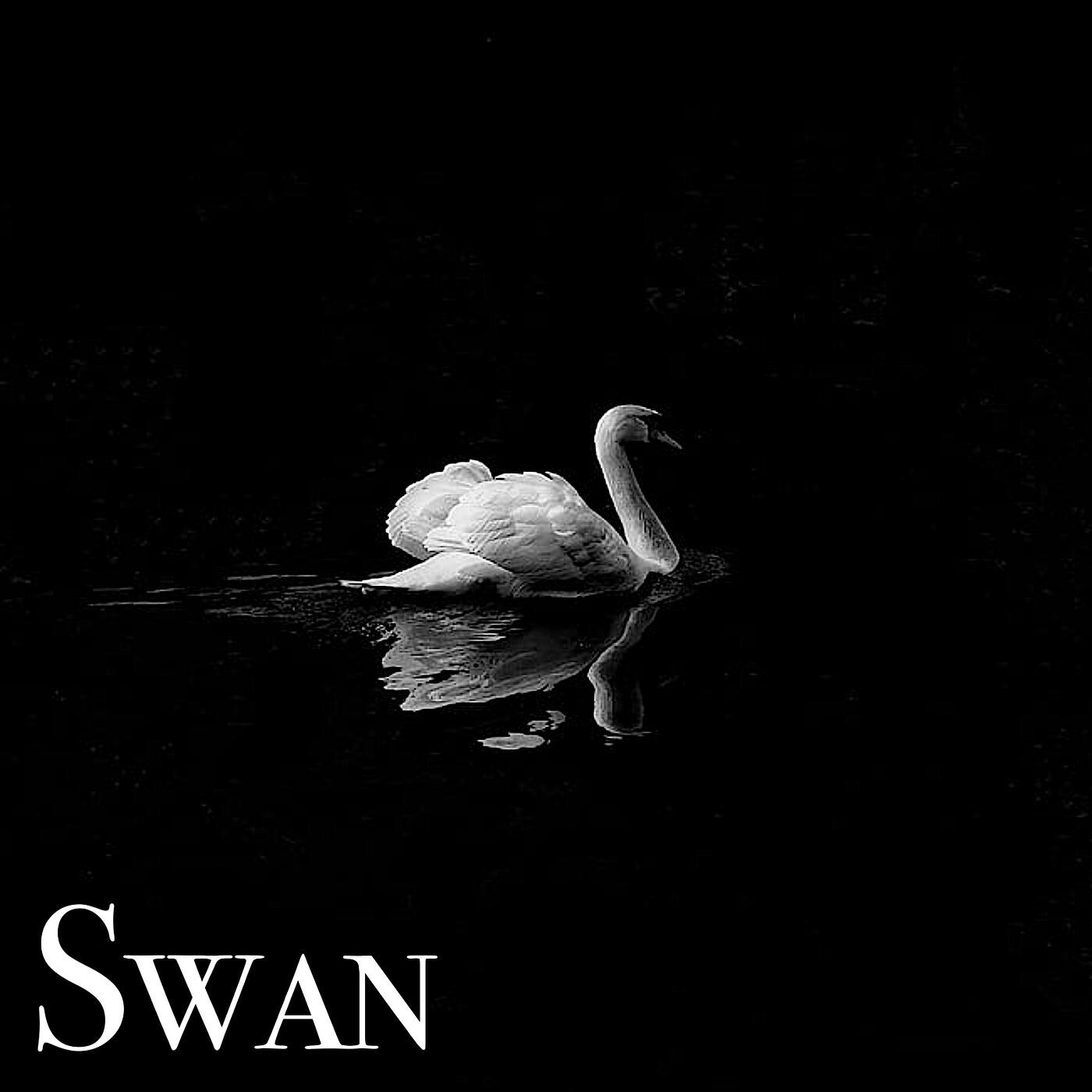 Релиз Swan