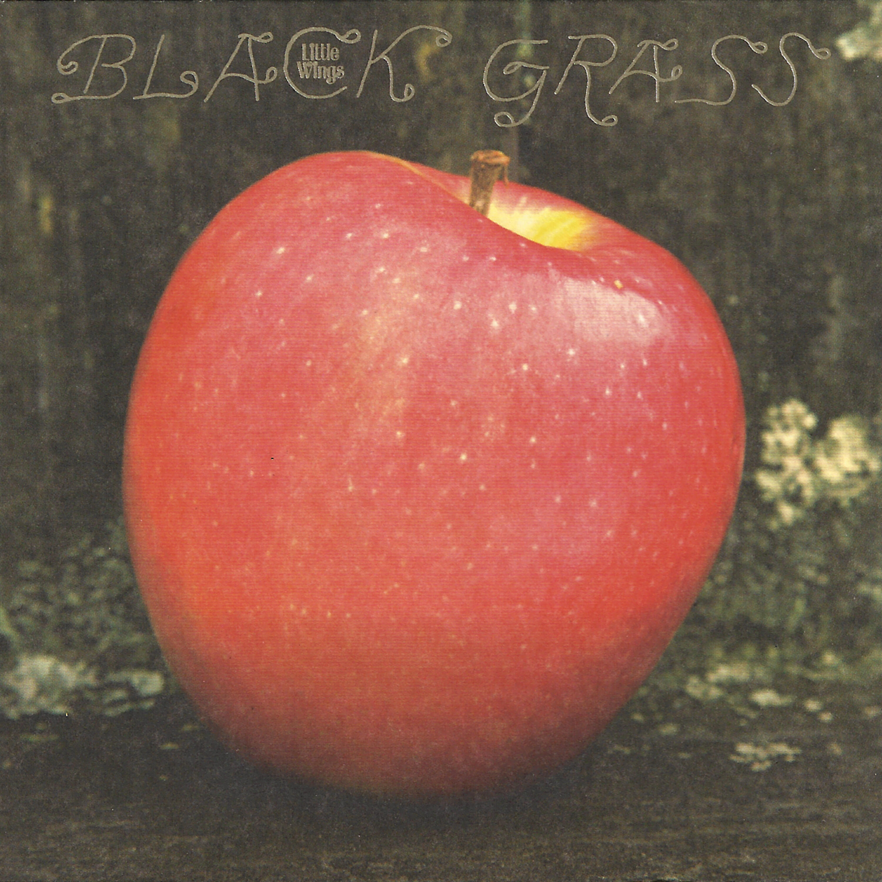 Релиз Black Grass
