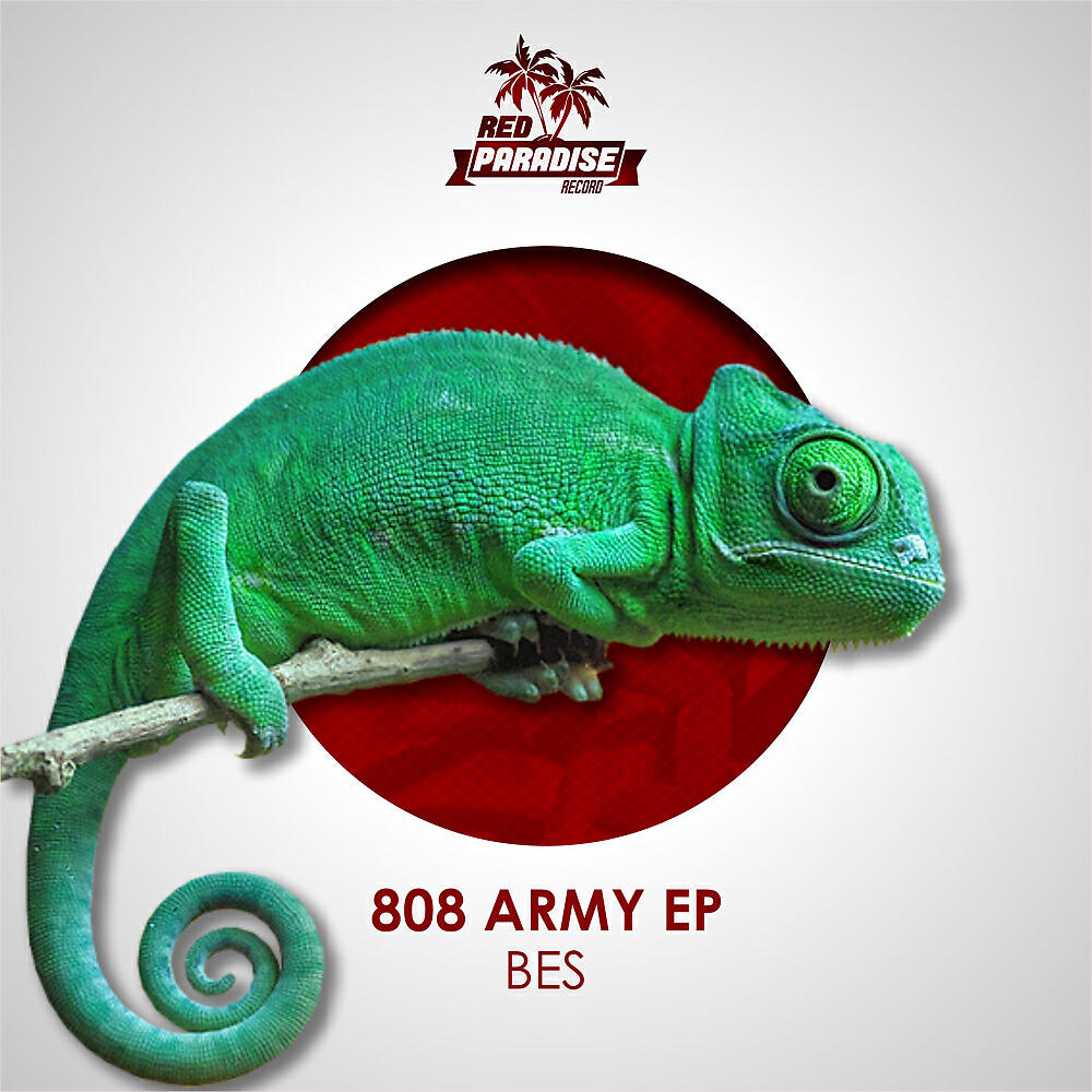 Постер альбома 808 Army
