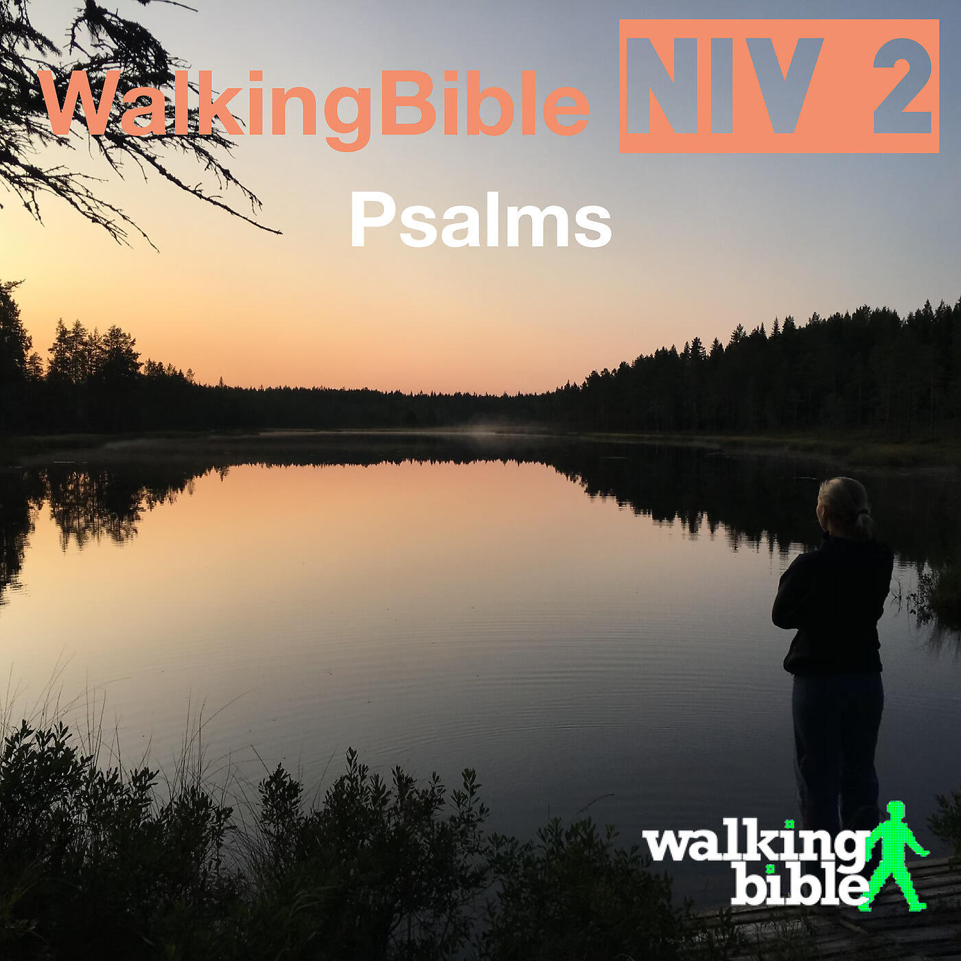 Релиз WalkingBible Niv 2 Psalms