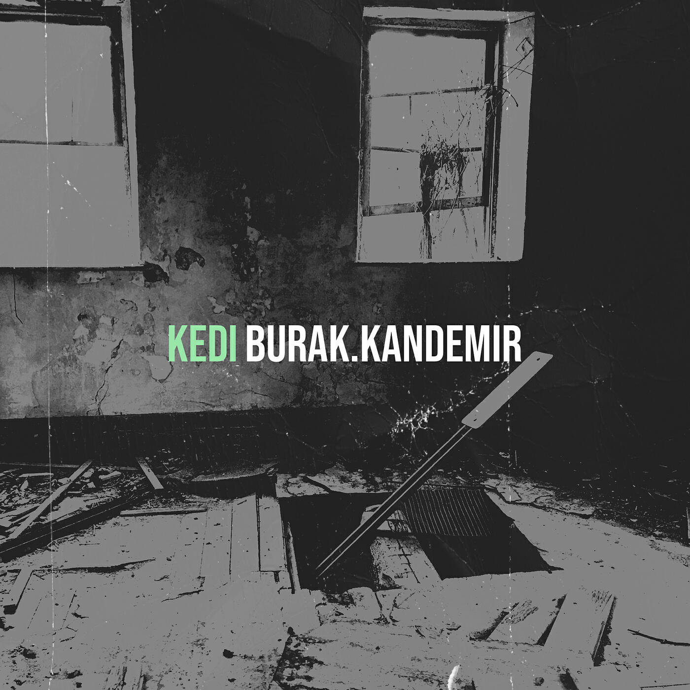 Релиз Kedi