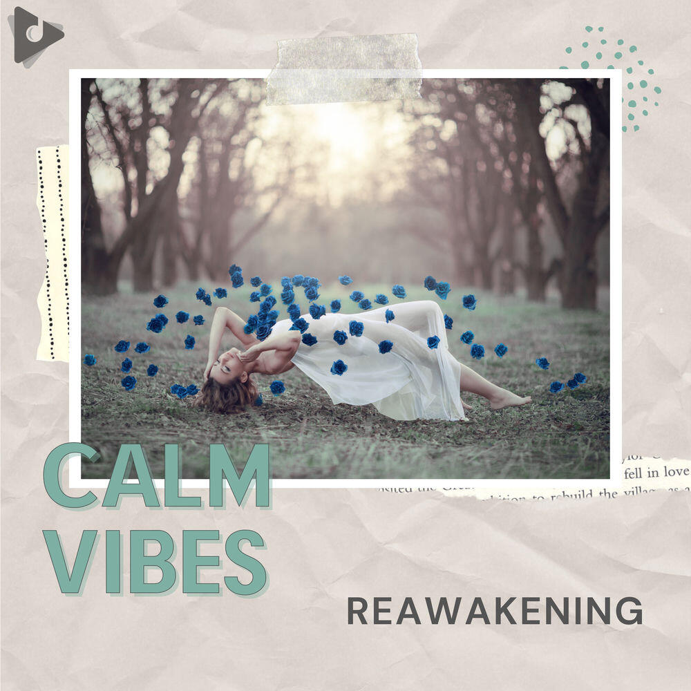 Релиз Reawakening