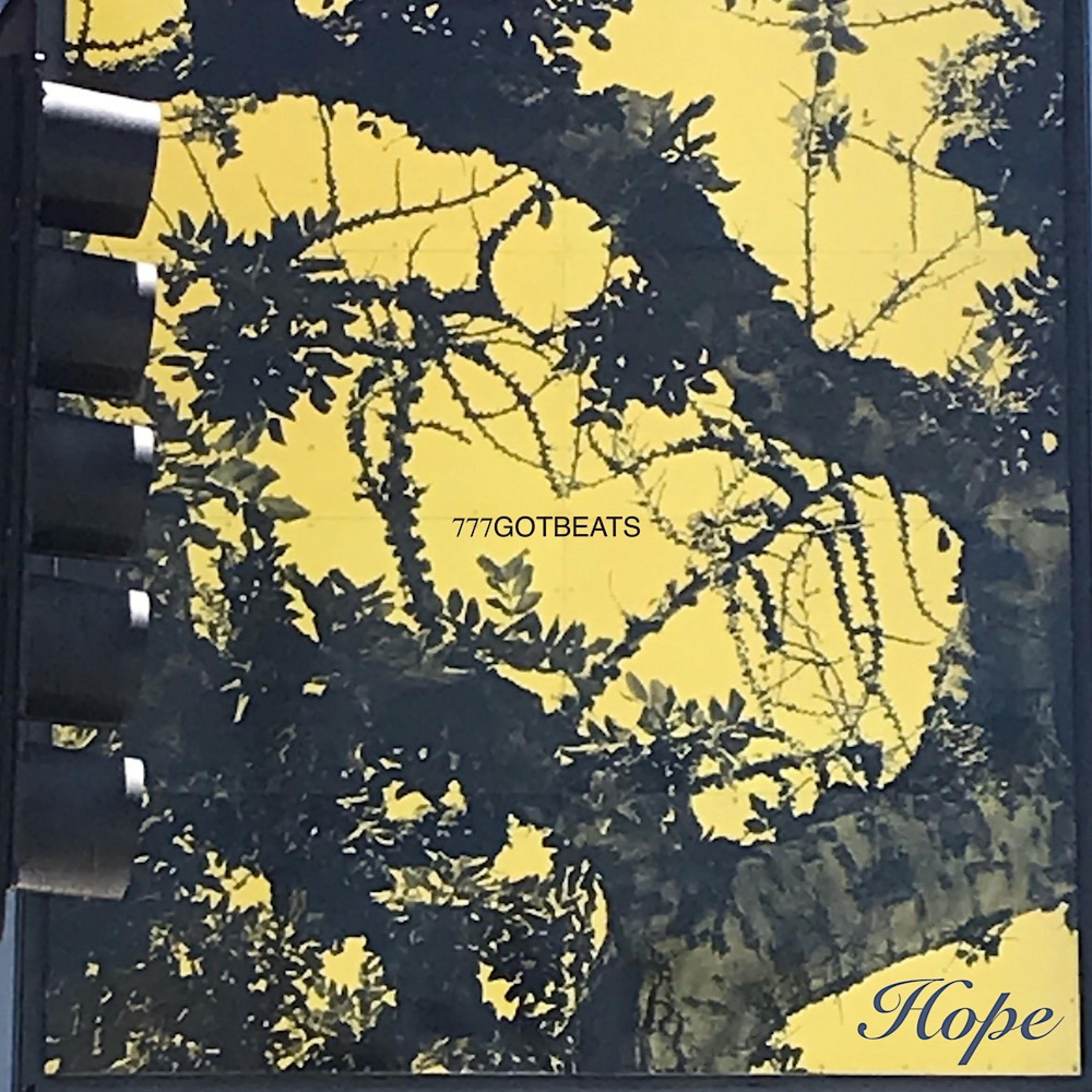Релиз HOPE