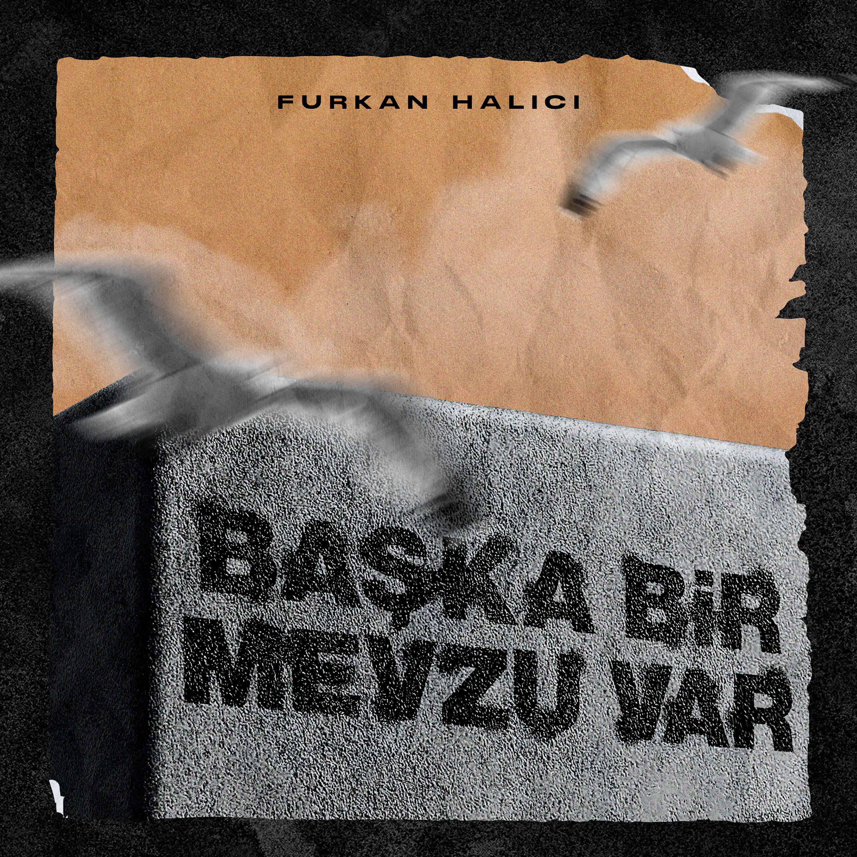Релиз Başka Bir Mevzu Var