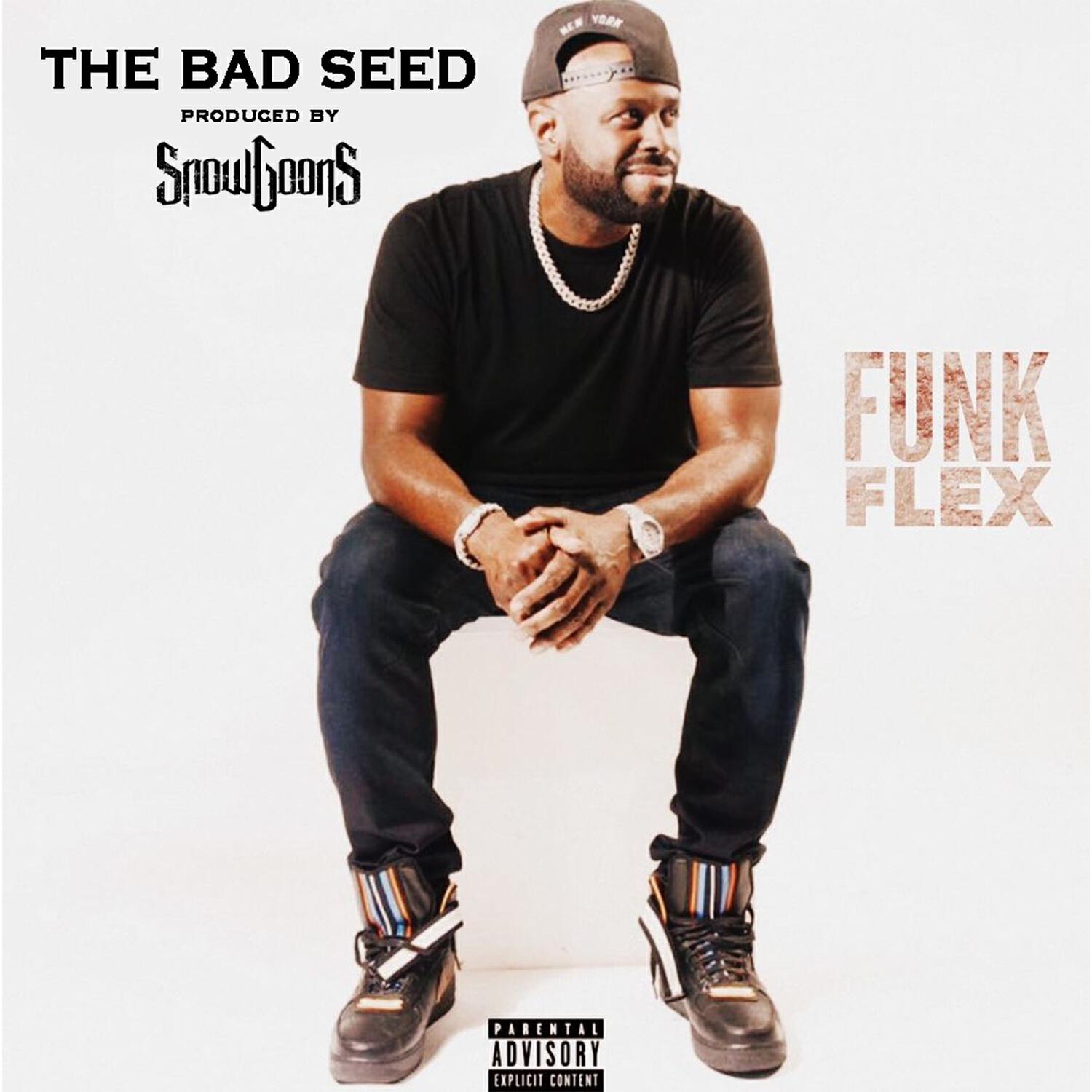 Релиз Funk Flex