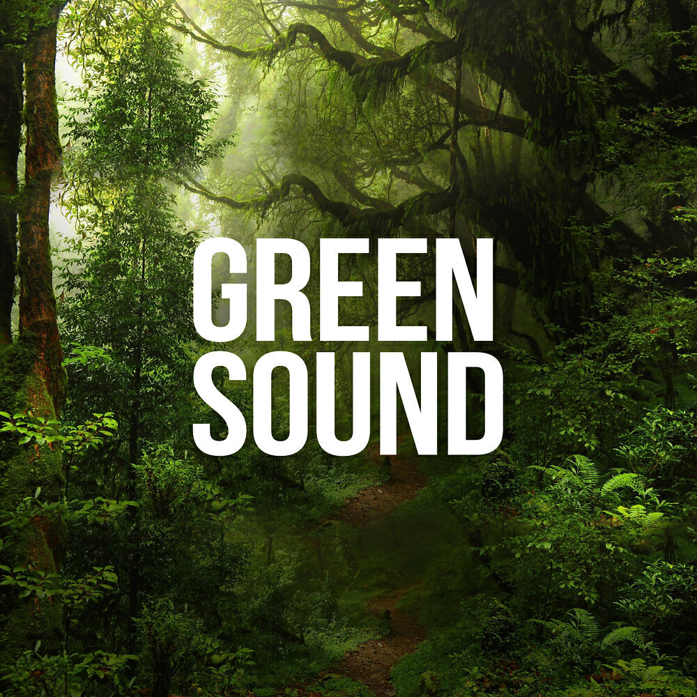 Релиз Grern Sound