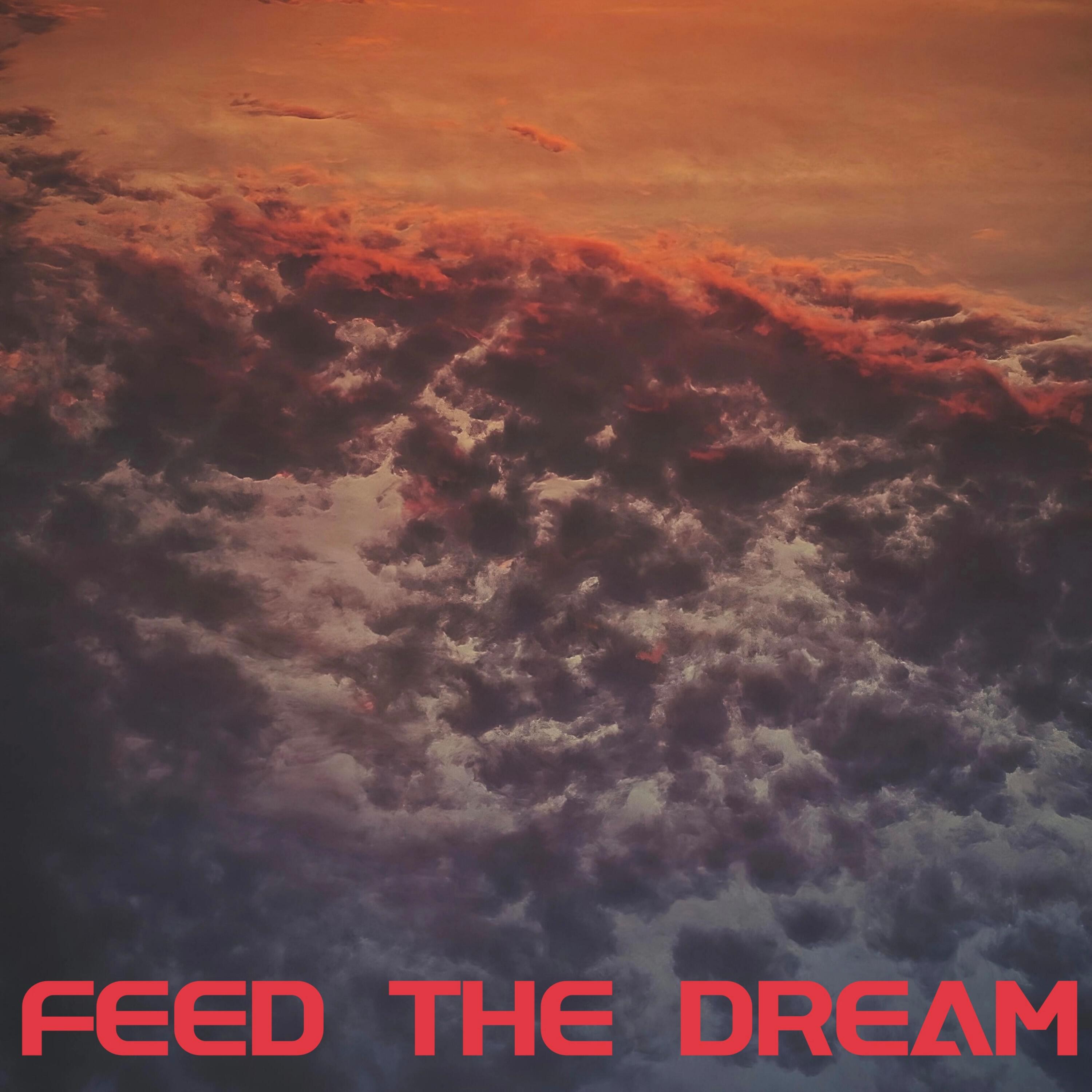 Релиз Feed The Dream