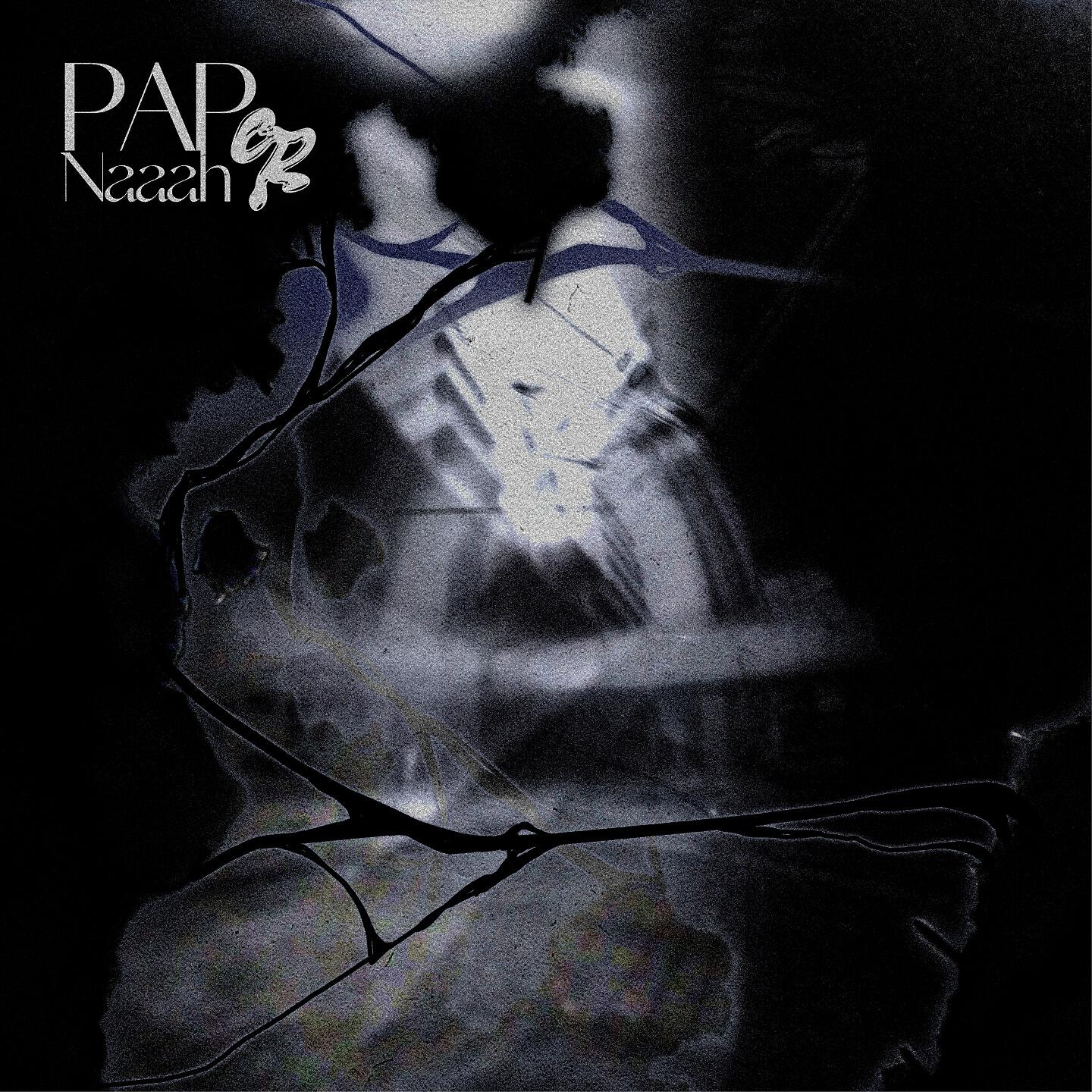 Релиз PAP