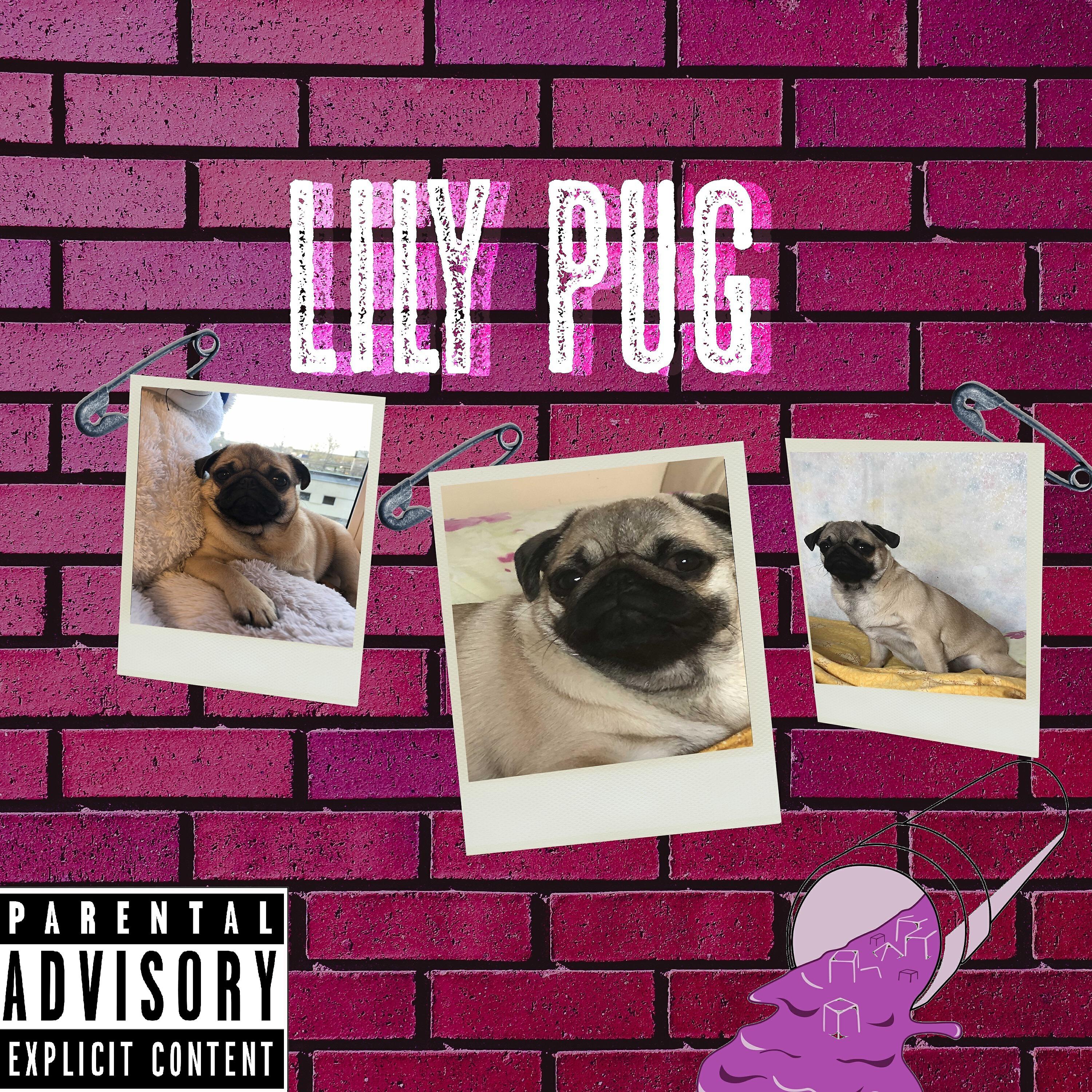 Релиз Lily Pug