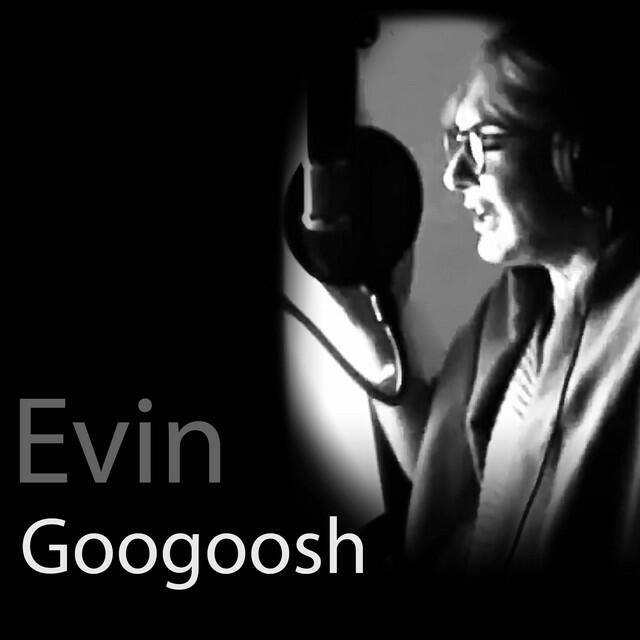 Релиз Evin