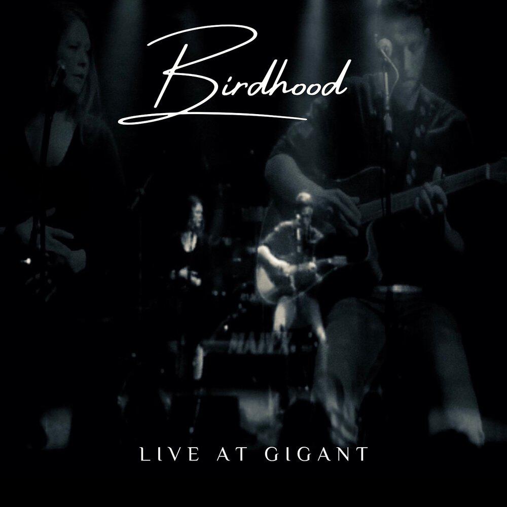 Релиз Birdhood (Live at GIGANT)