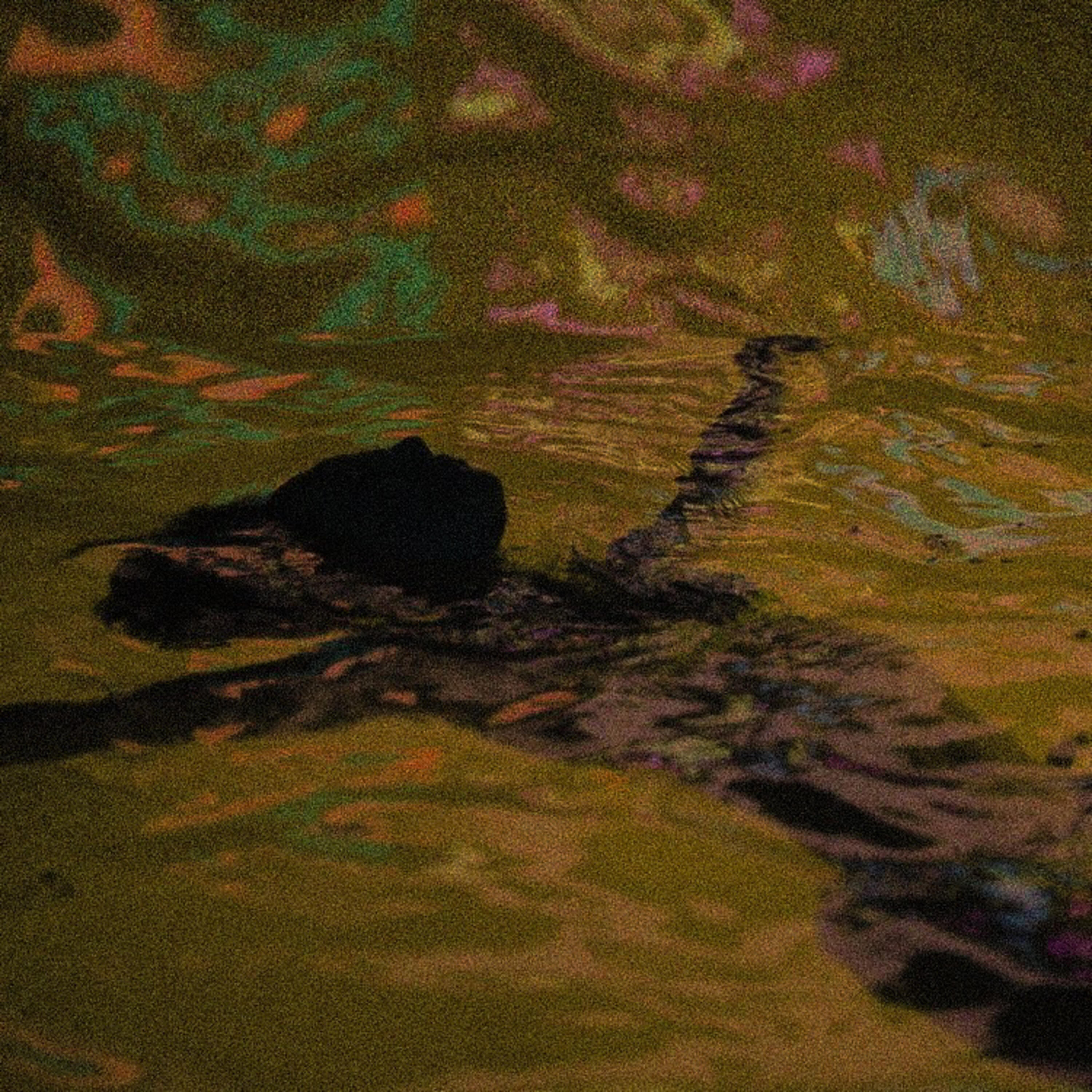 Релиз La Noche Está