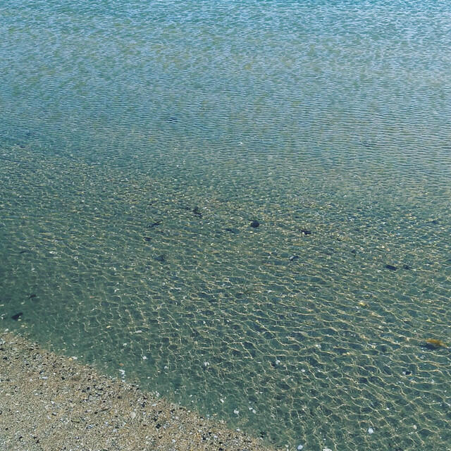 Релиз Ripples
