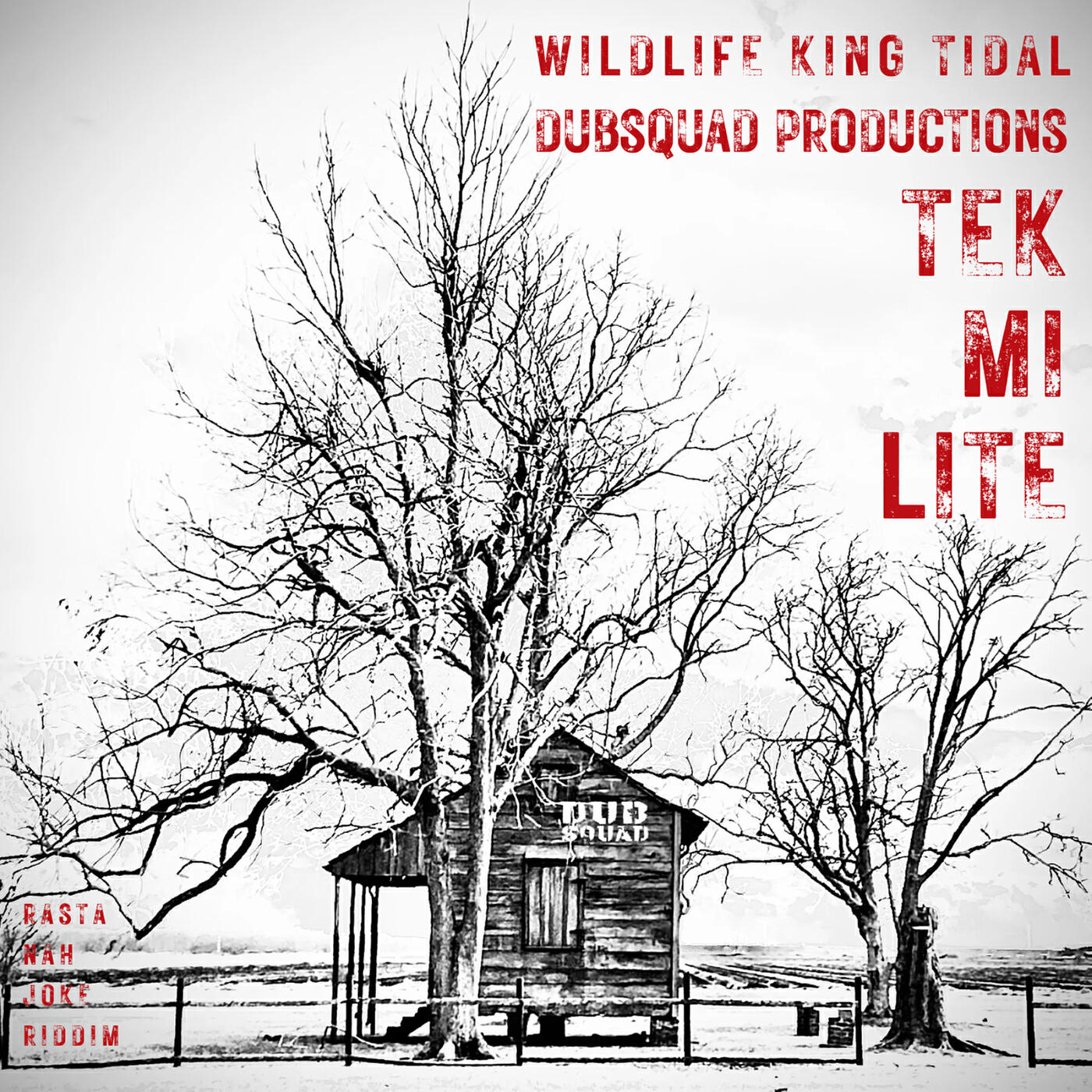 Релиз Tek Mi Lite ( Rasta Nah Joke Riddim )