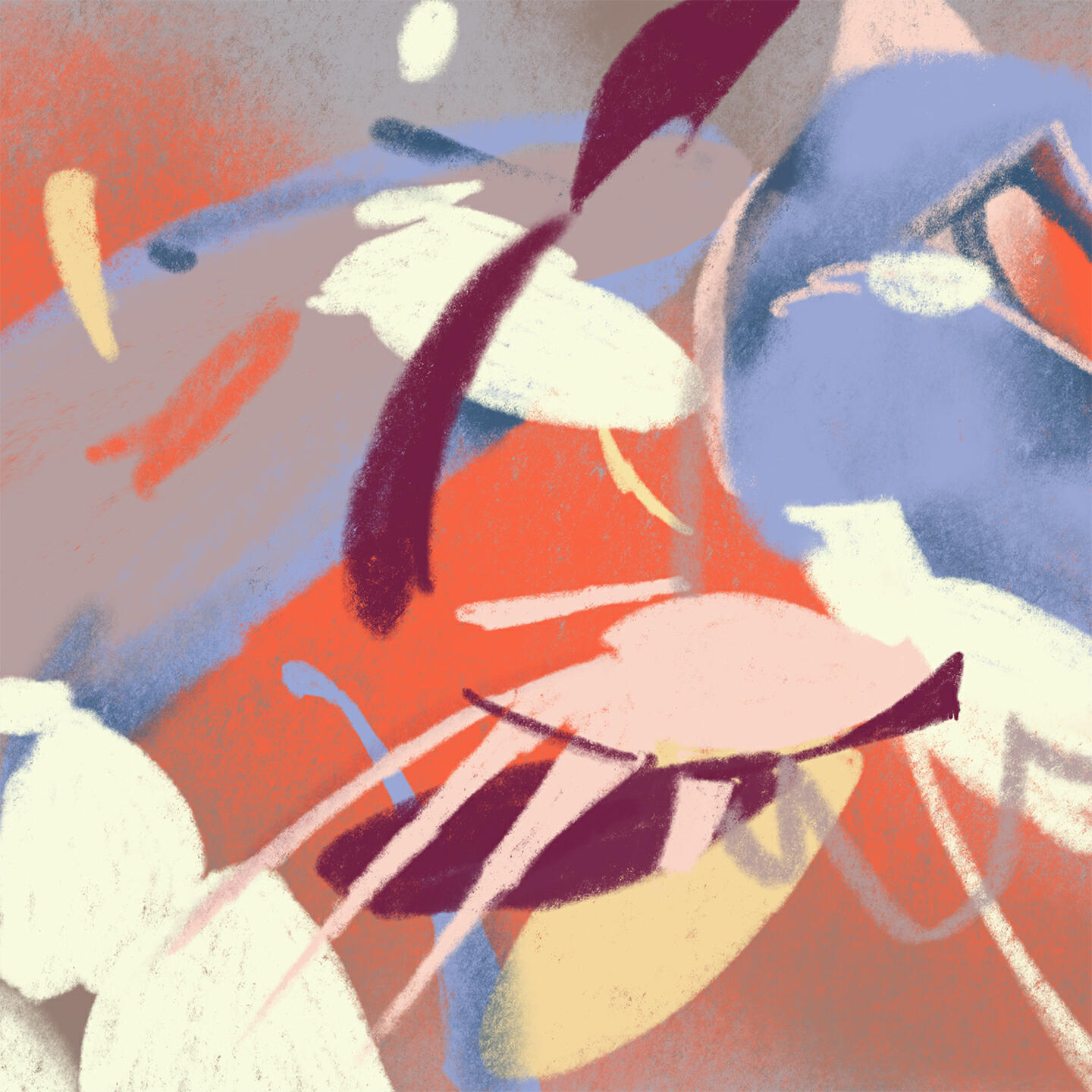 Релиз Barang Bae