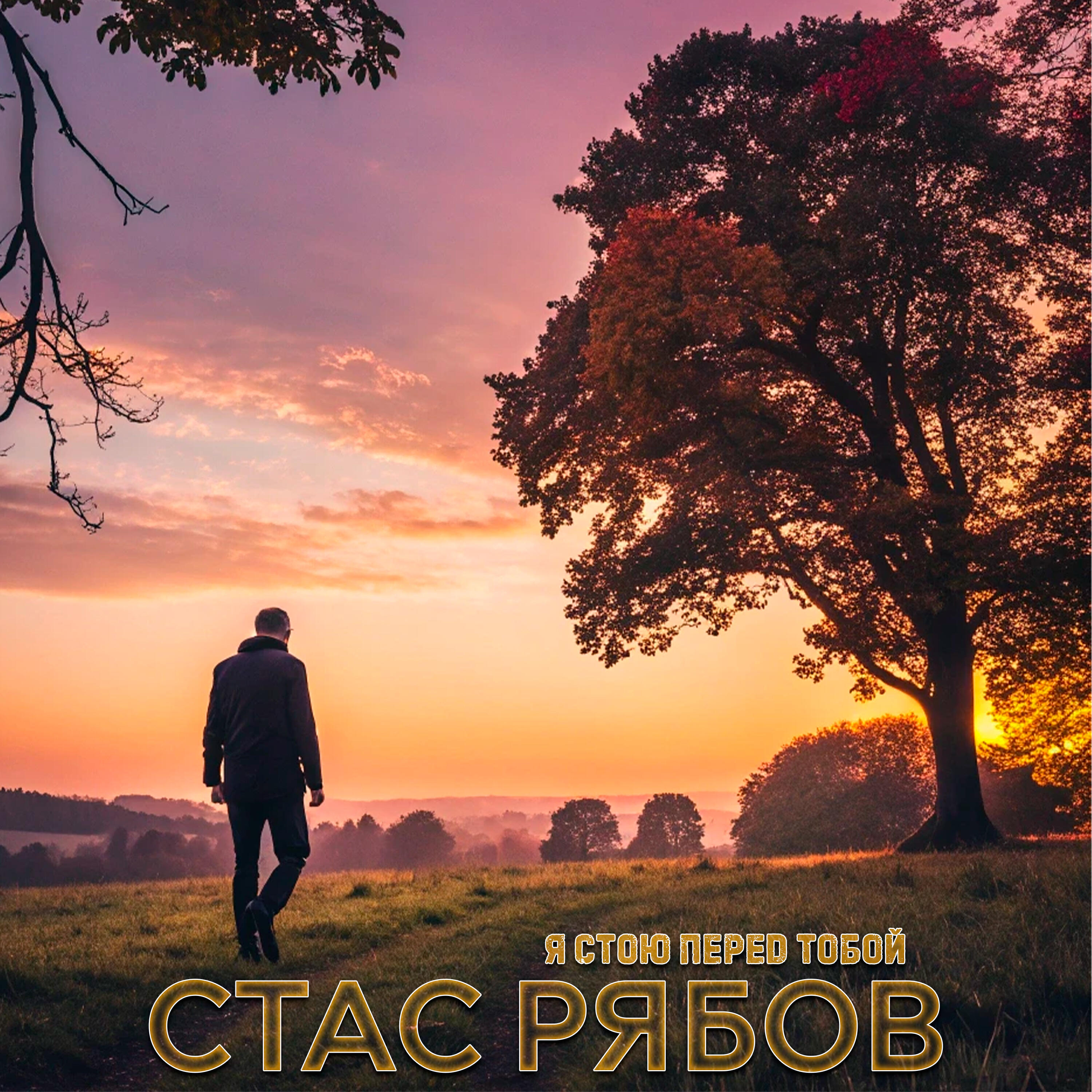 Релиз Я стою перед тобой