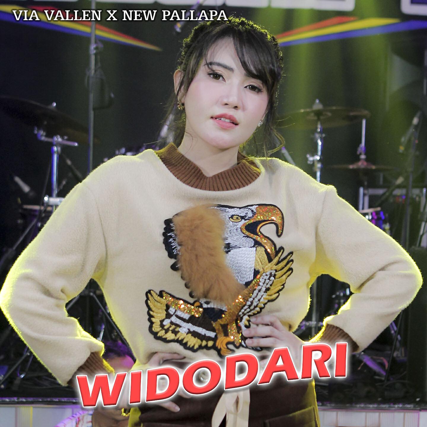 Релиз Widodari