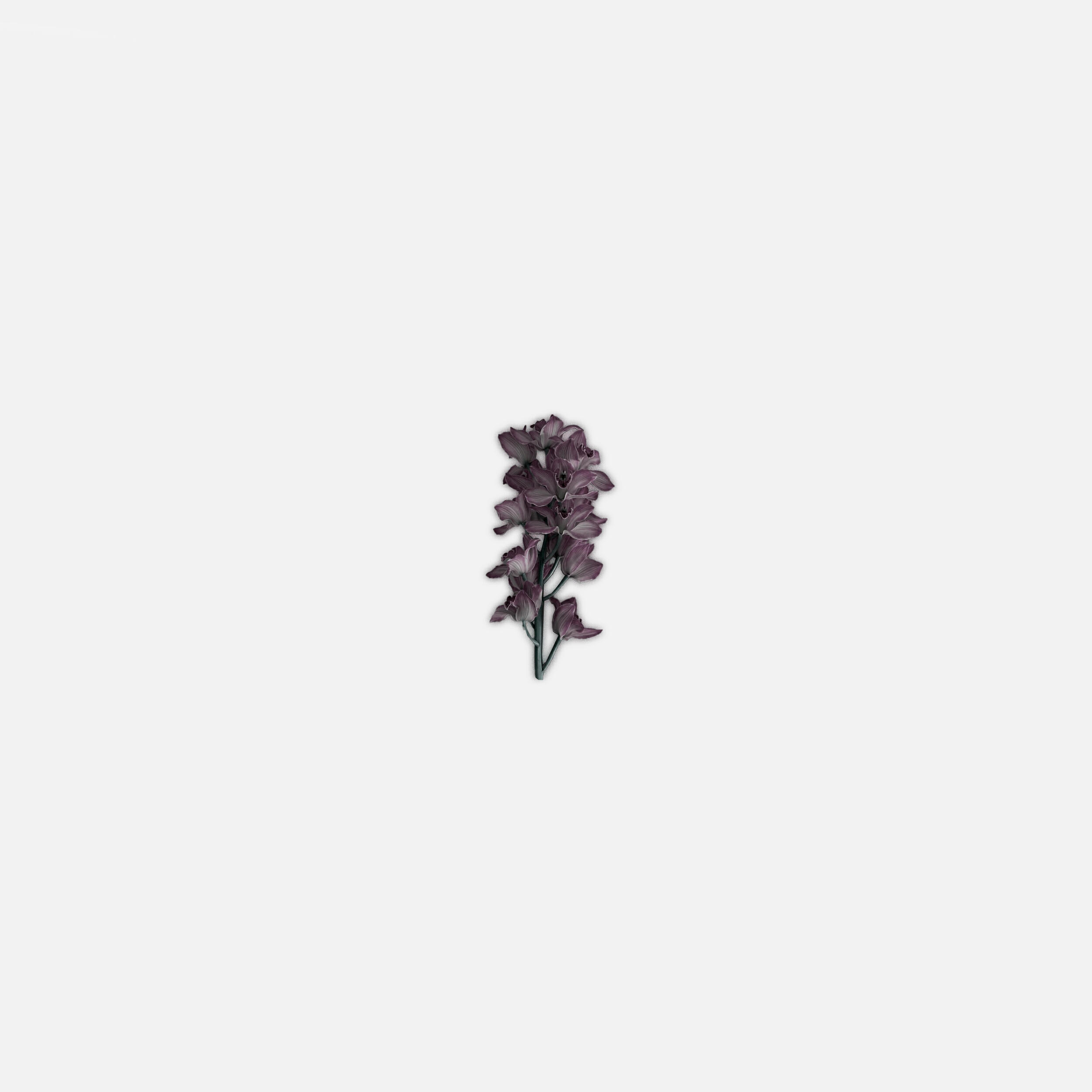 Релиз Rebirth (Slowed + Reverb)