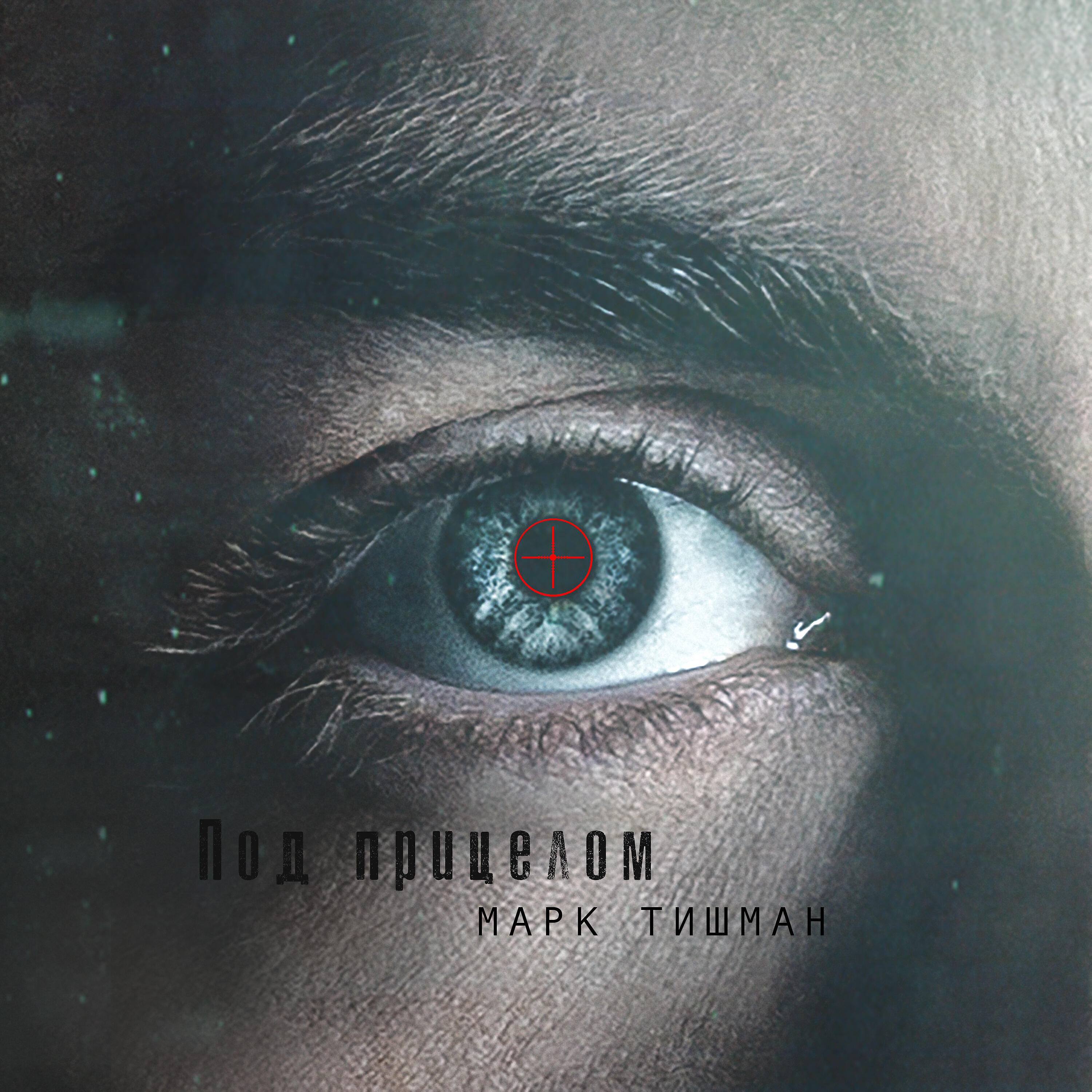 Постер альбома Под прицелом