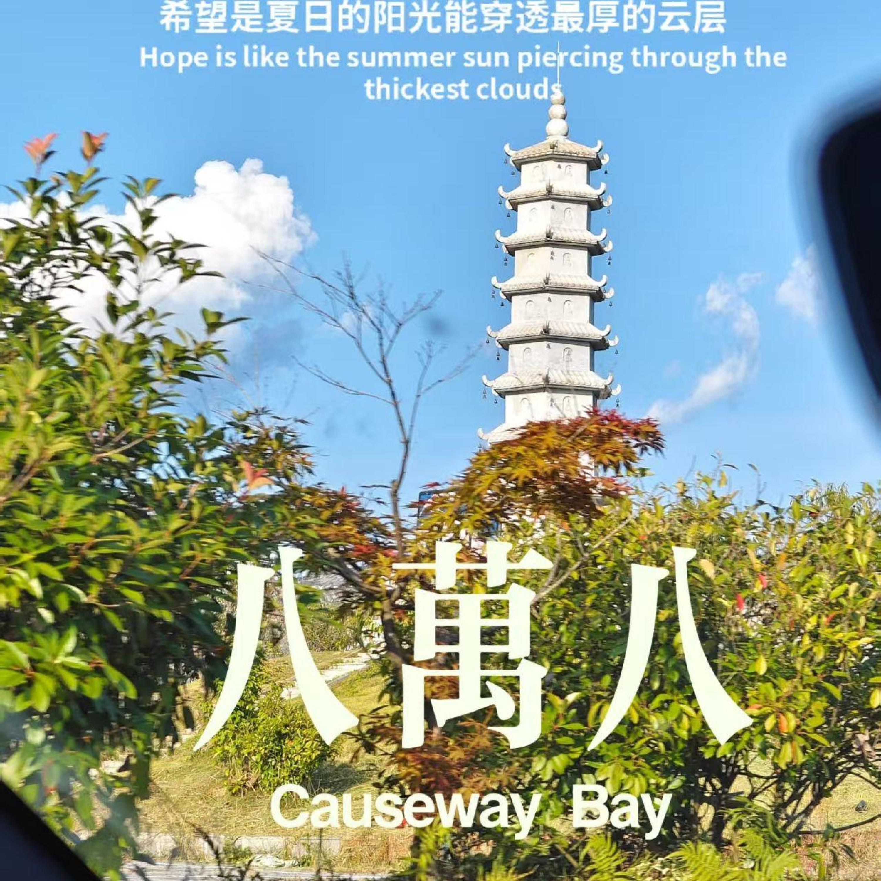 Релиз 八万八