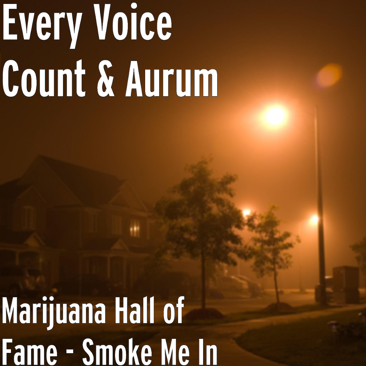 EVERY VOICE COUNT