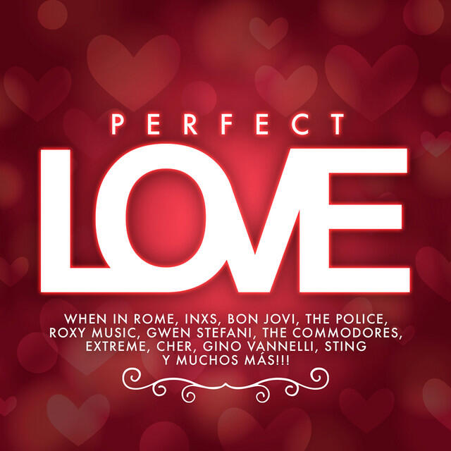 Релиз Perfect Love