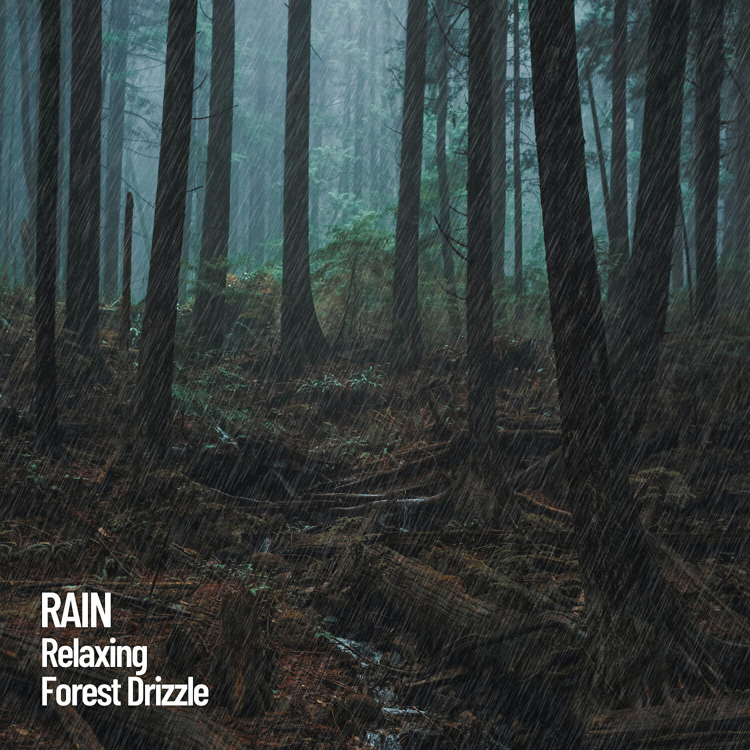 Релиз Rain: Relaxing Forest Drizzle