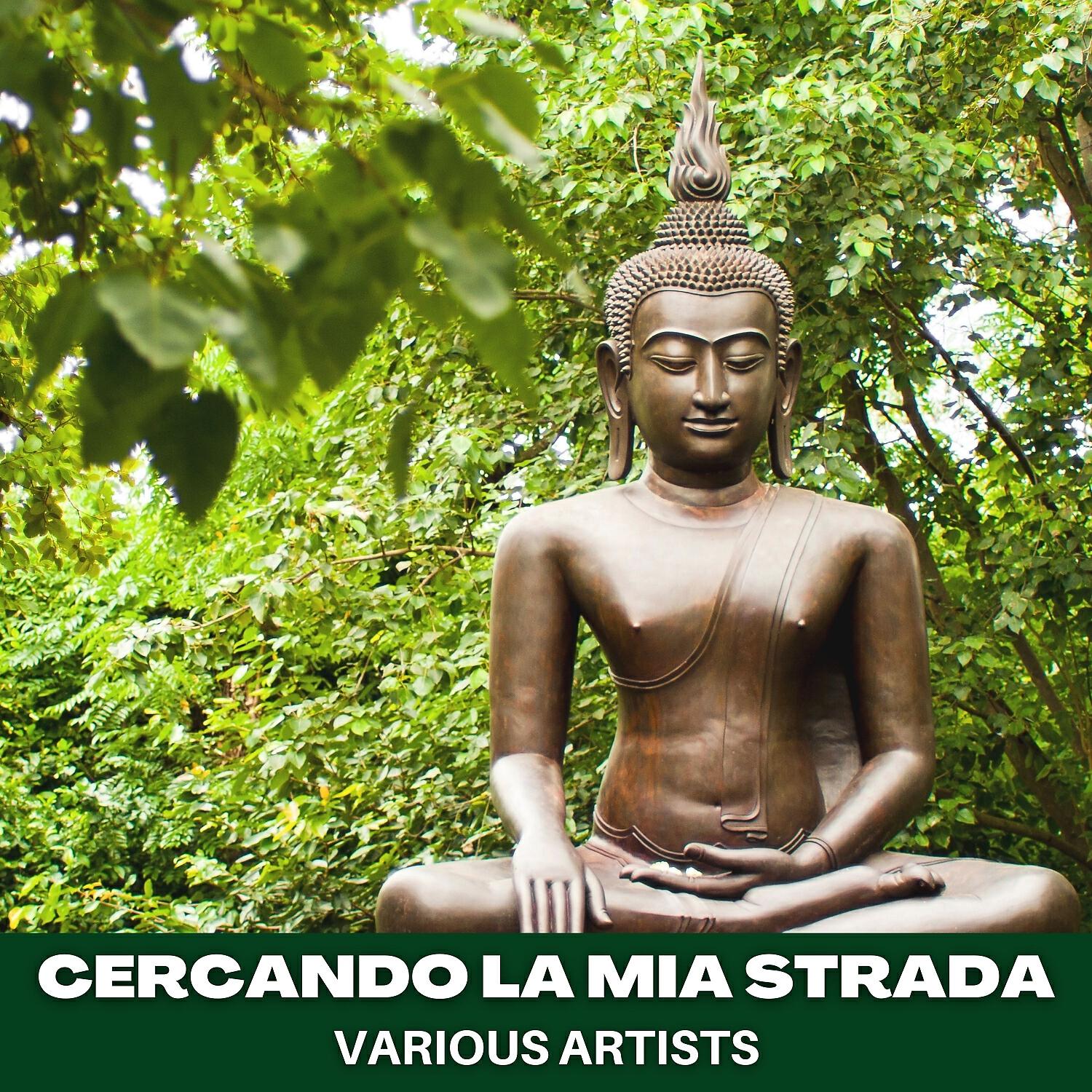 Релиз Cercando la mia strada